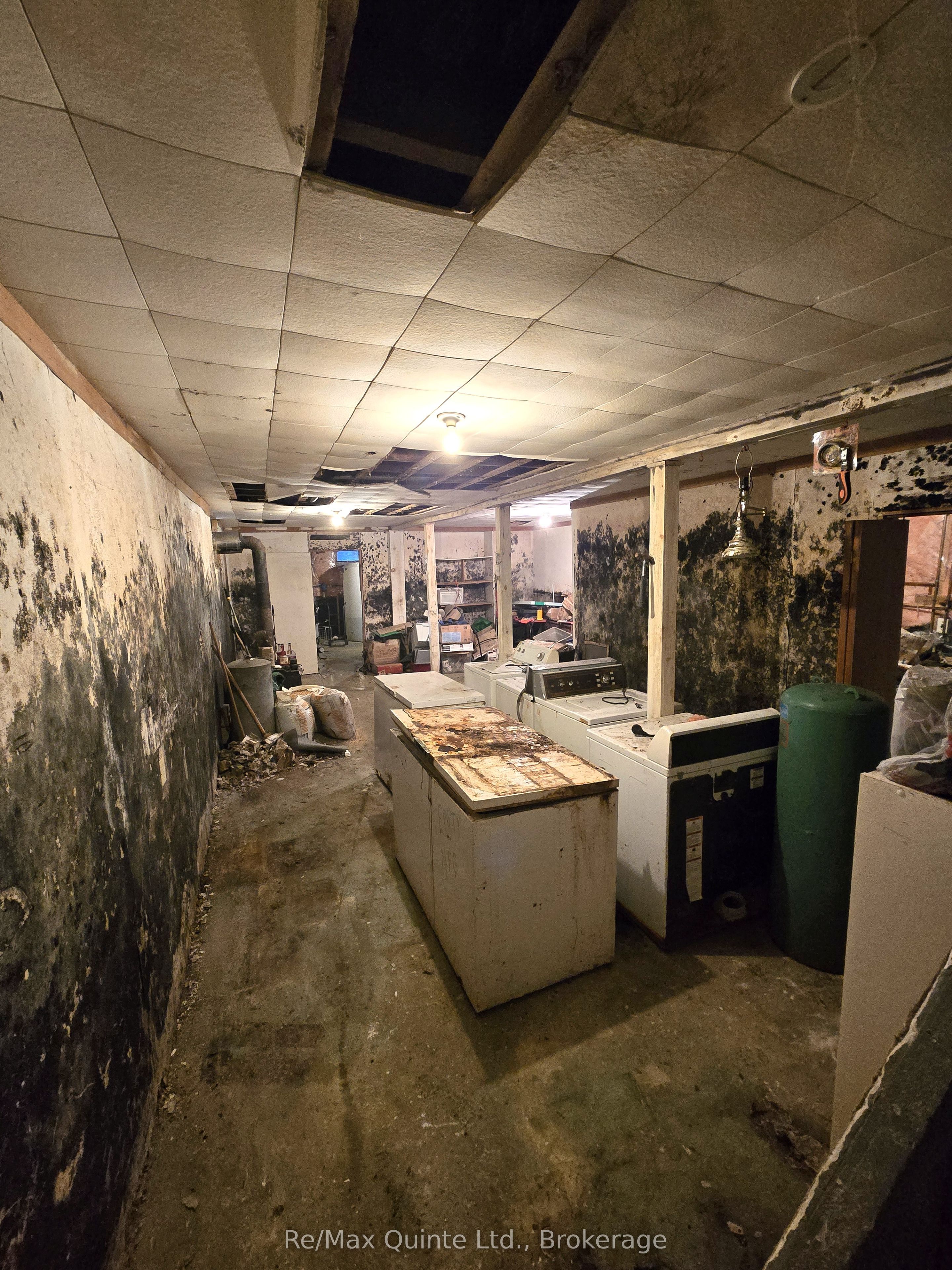 73 Charles Road Property Photo 18
