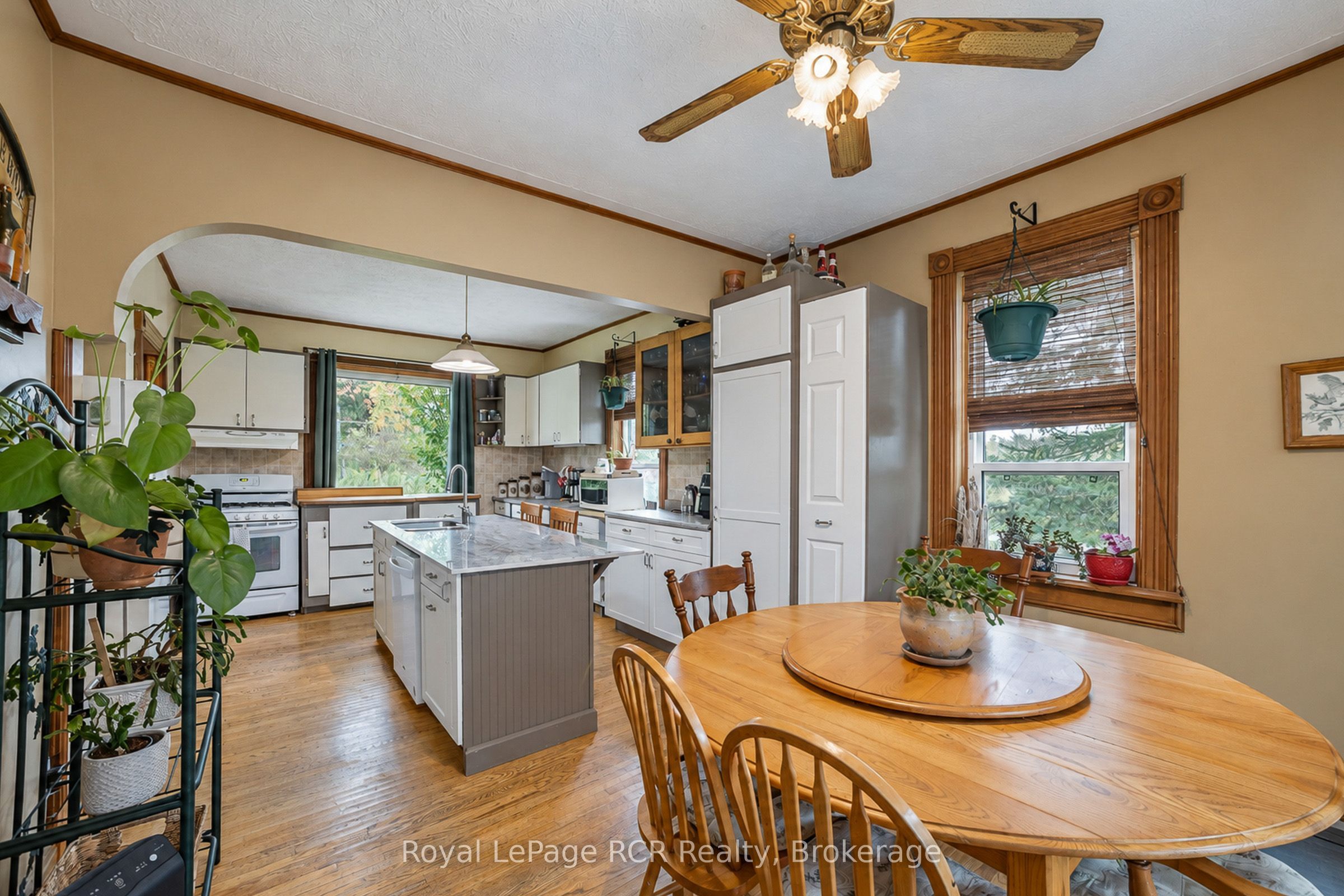 103 Scott Street Property Photo 11