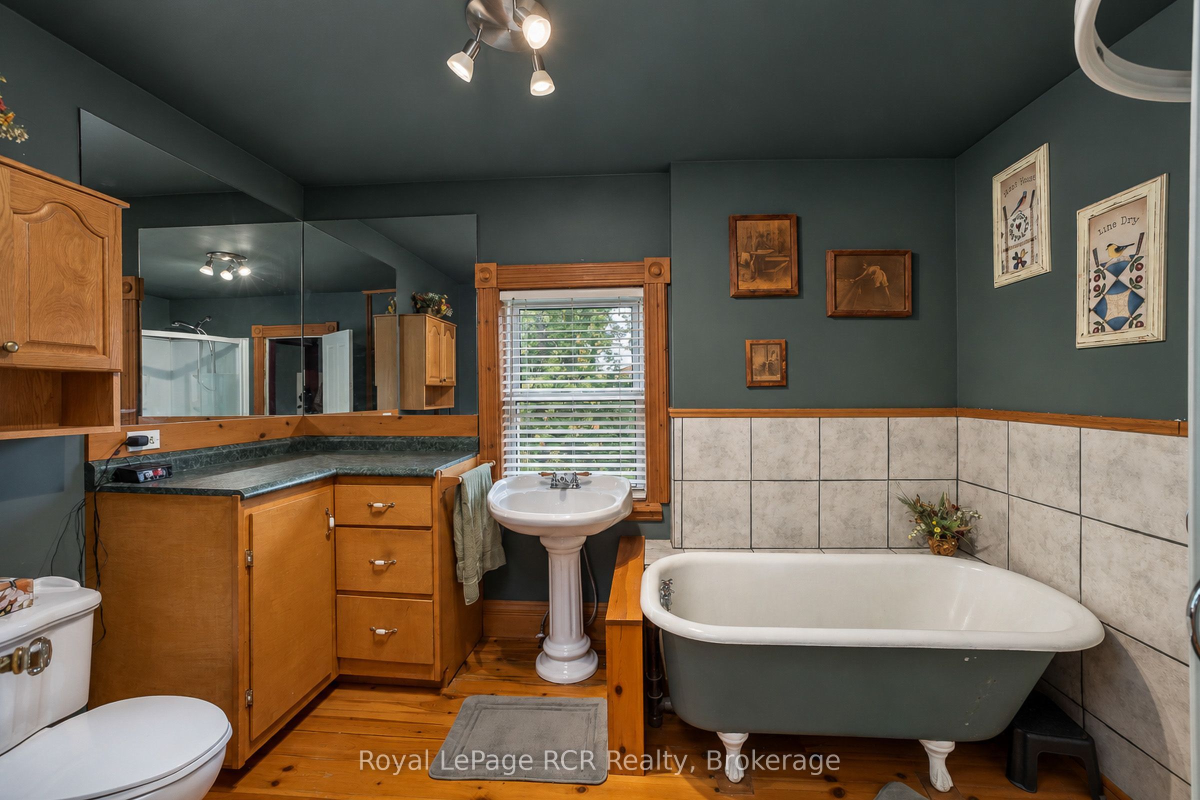 103 Scott Street Property Photo 21