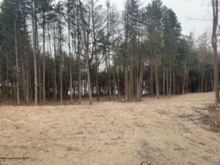 0 County Rd 42 Property Photo 3