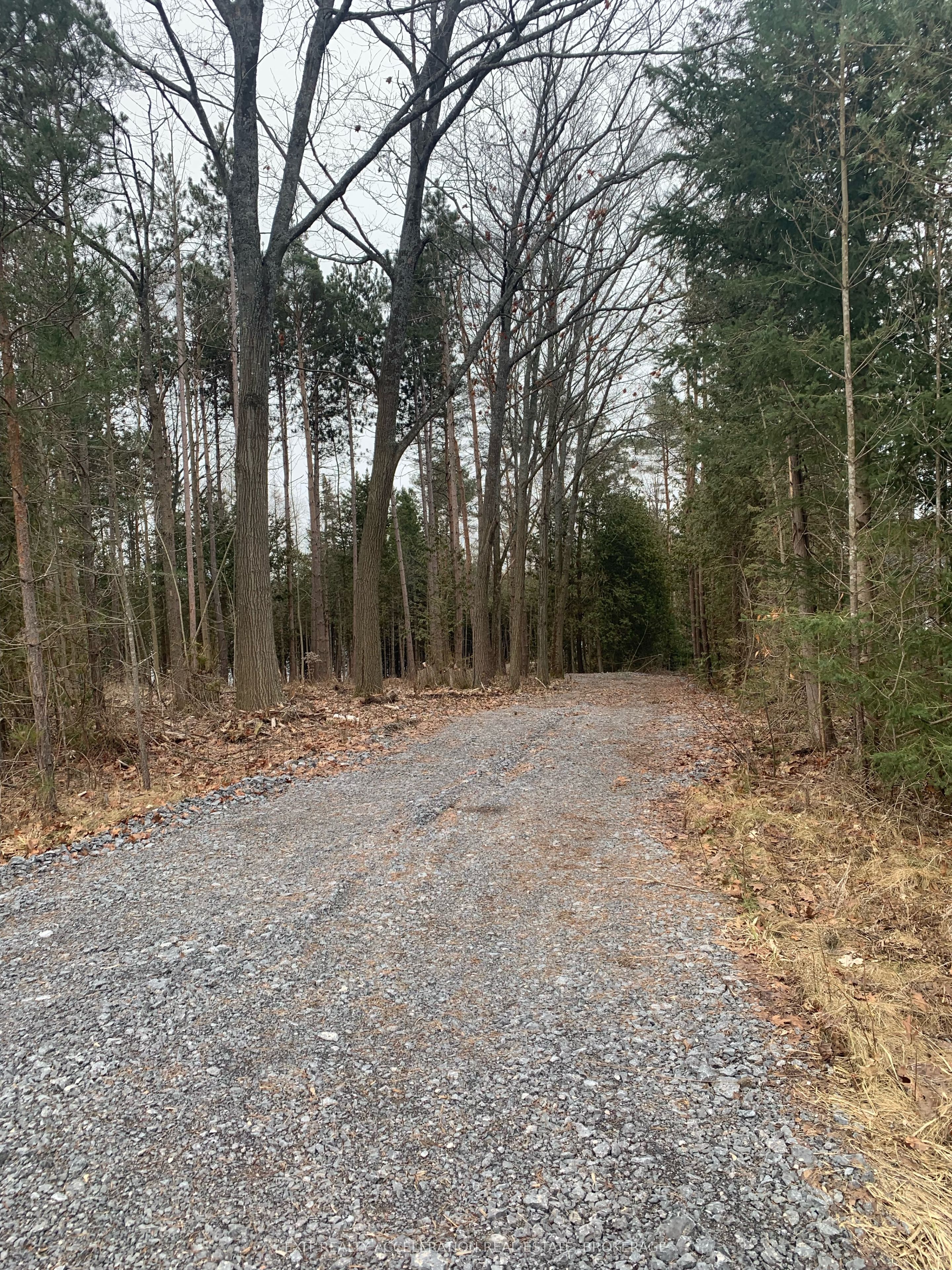 0 County Rd 42 Property Photo 5