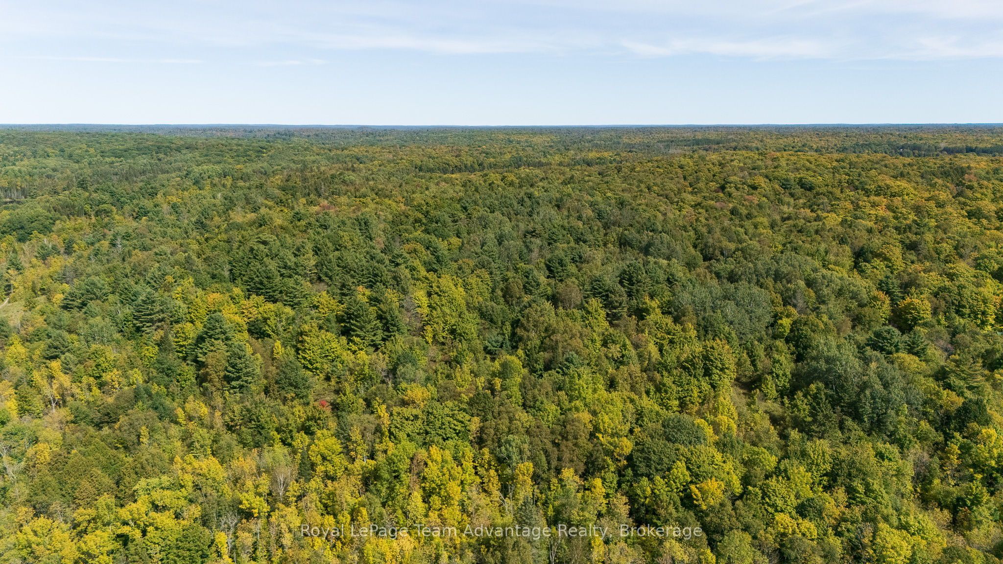 0 Ladds / Shorts Mill Co Road Property Photo 6