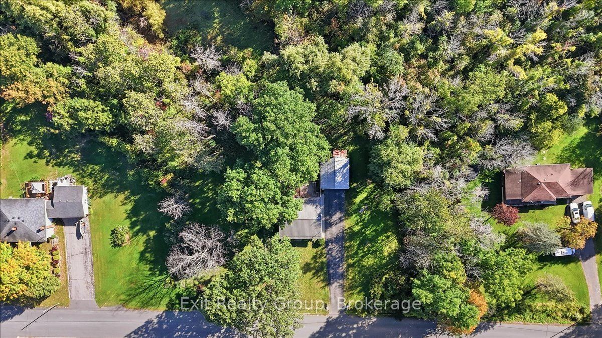 129 Harcourt Road Property Photo 38