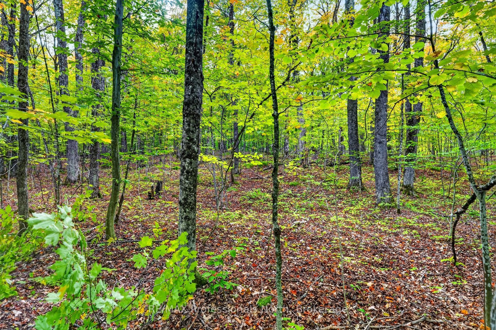 1102 Parallel Falls Lane Property Photo 39