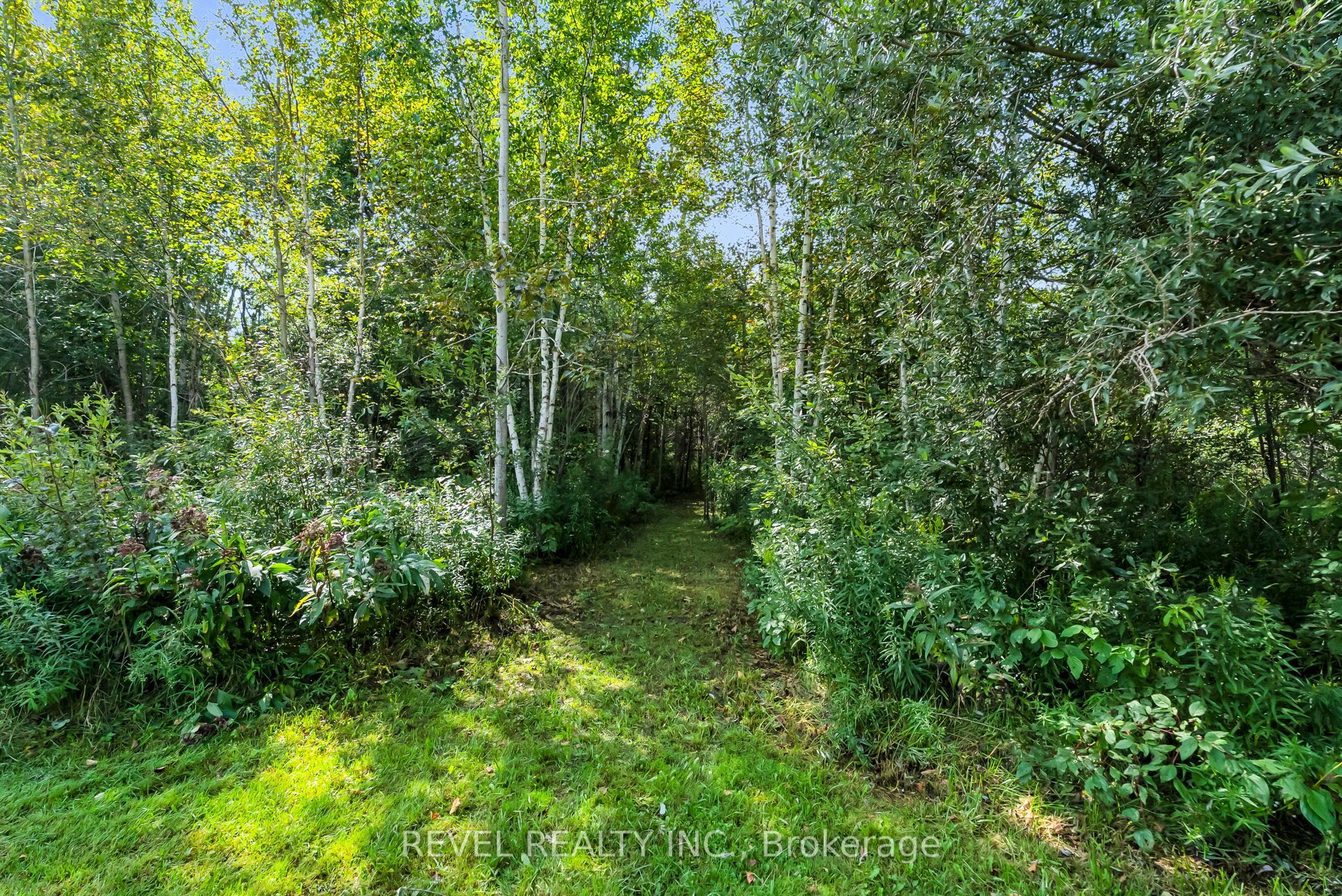 14 Devonleigh Drive Property Photo 44