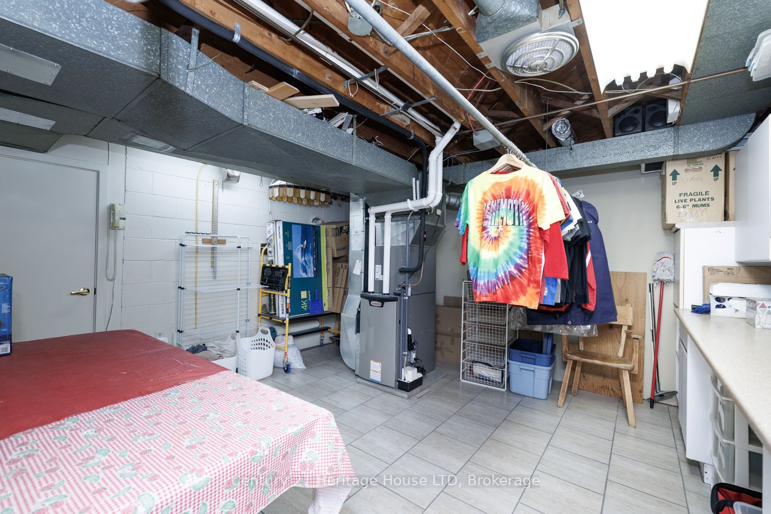 5159 Shirley Avenue Property Photo 33