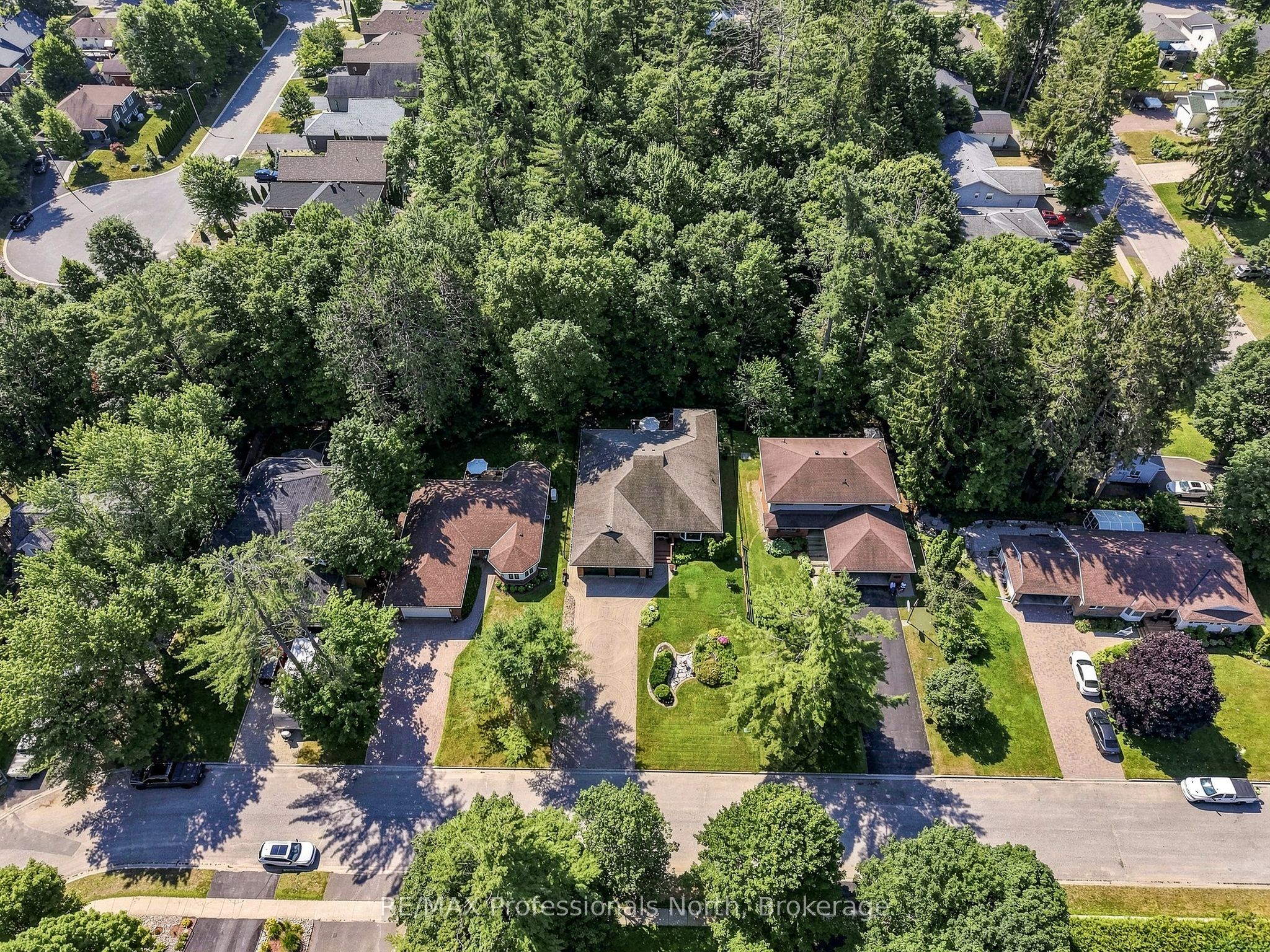 8 Palmer Court Property Photo 6
