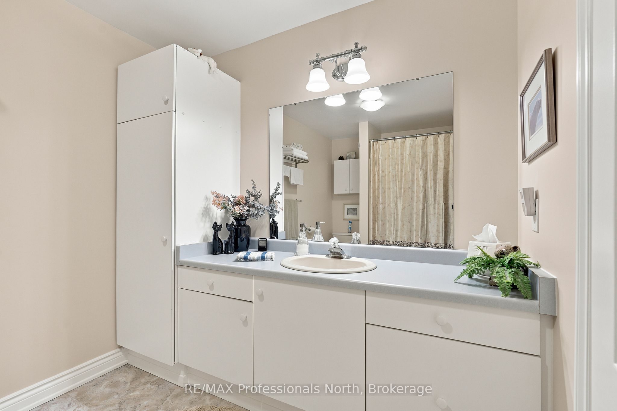 8 Palmer Court Property Photo 47