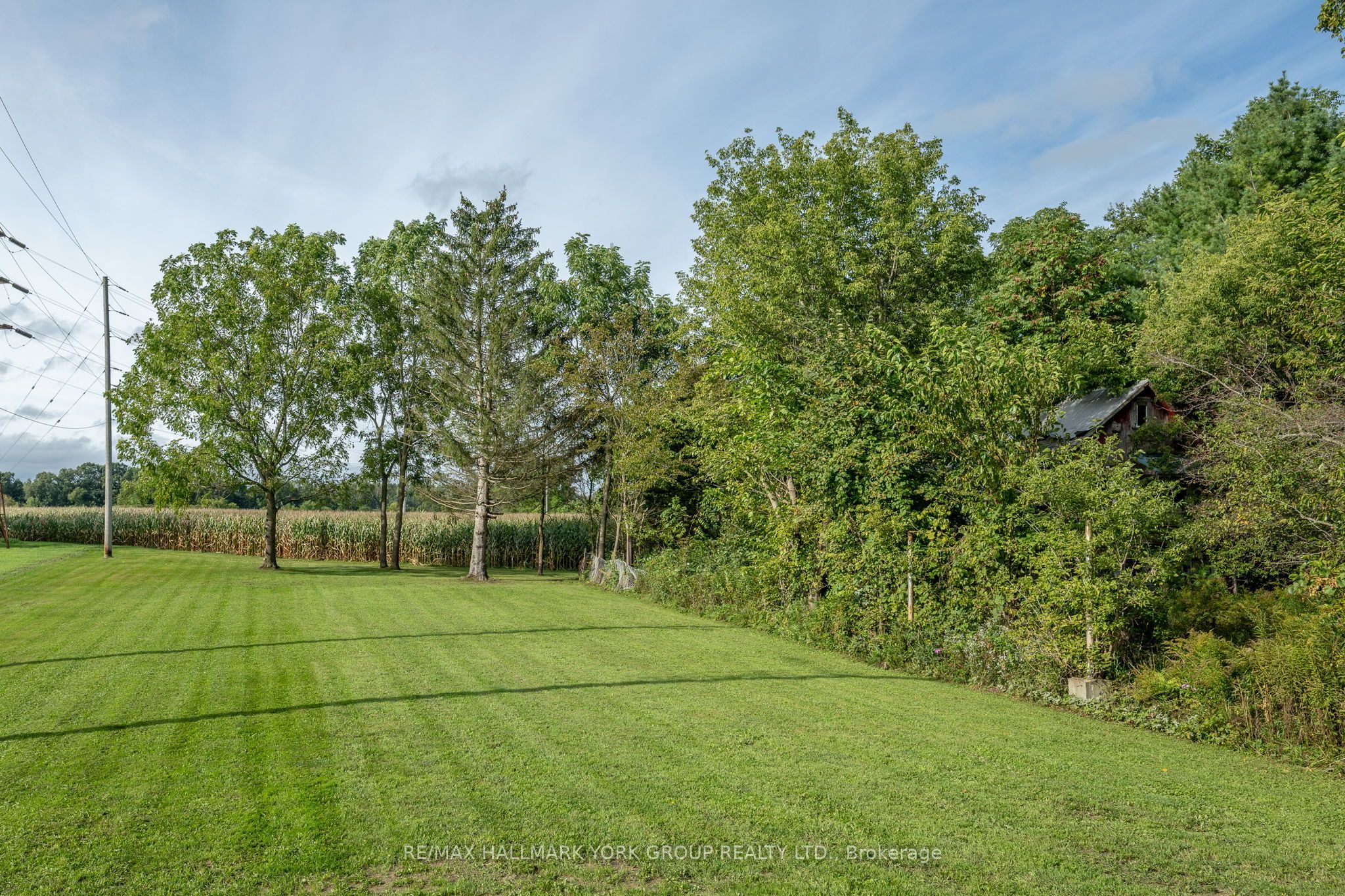 178 Graham Street Property Photo 44