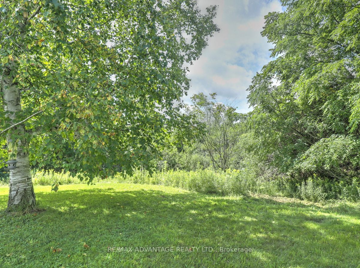 45 Agincourt Gardens Property Photo 4