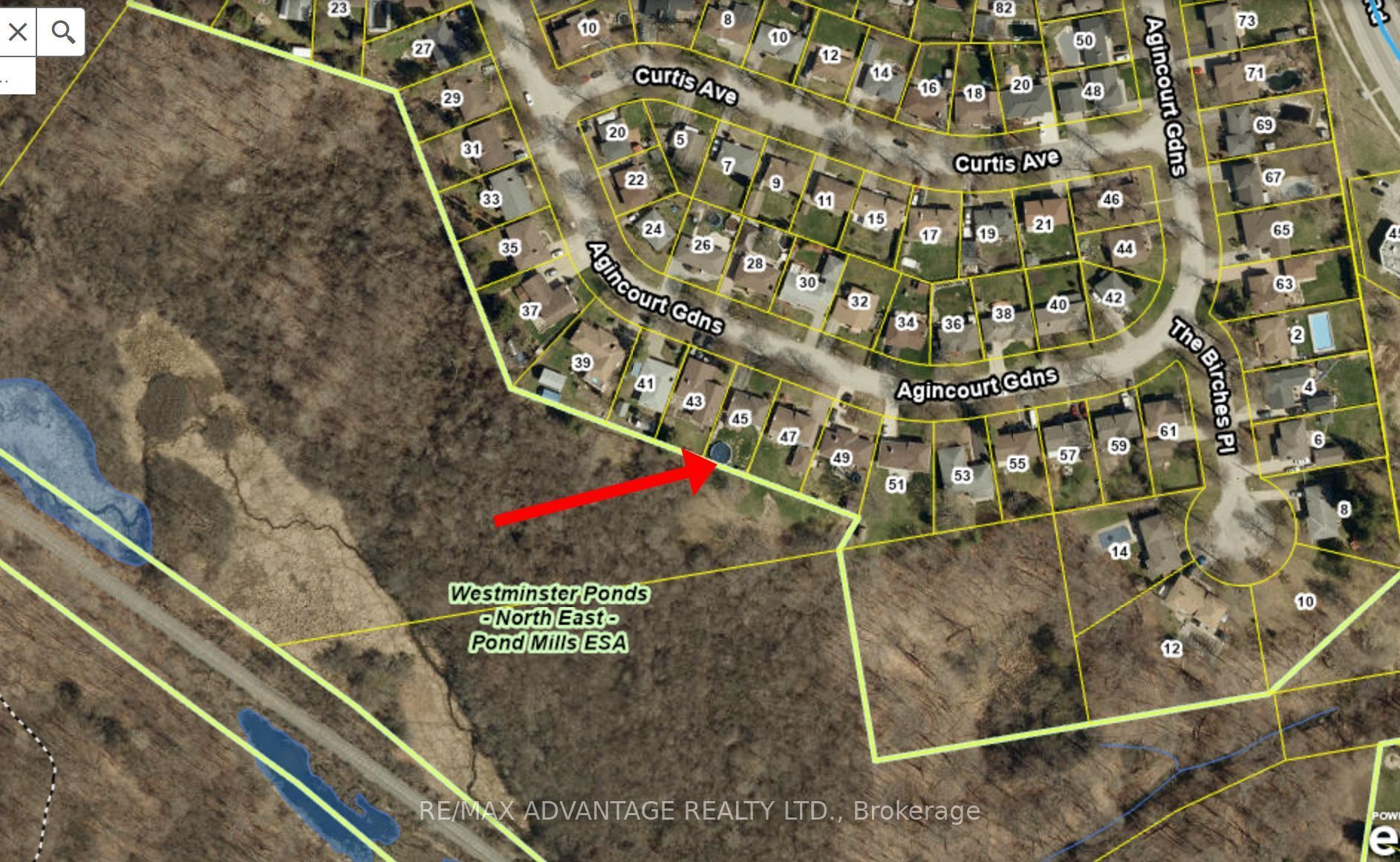 45 Agincourt Gardens Property Photo 5