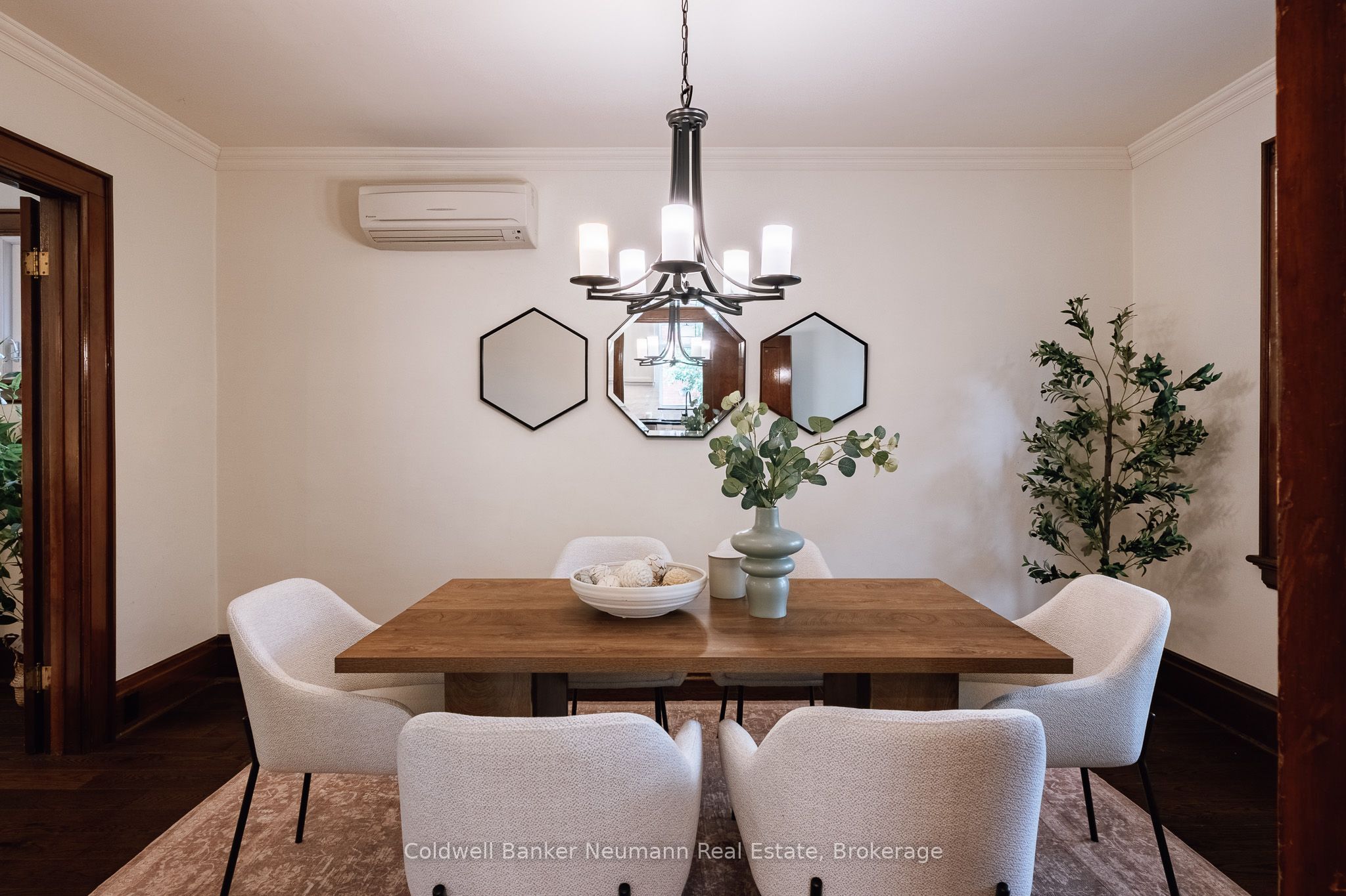 83 Durham Street Property Photo 19