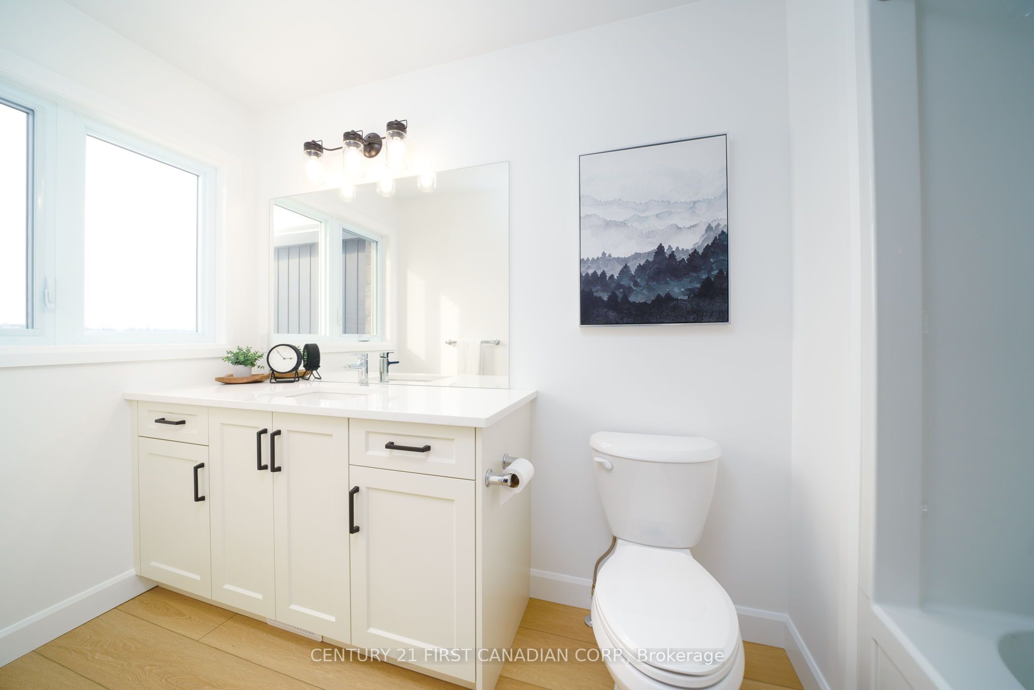 115 Atkinson Street Property Photo 22