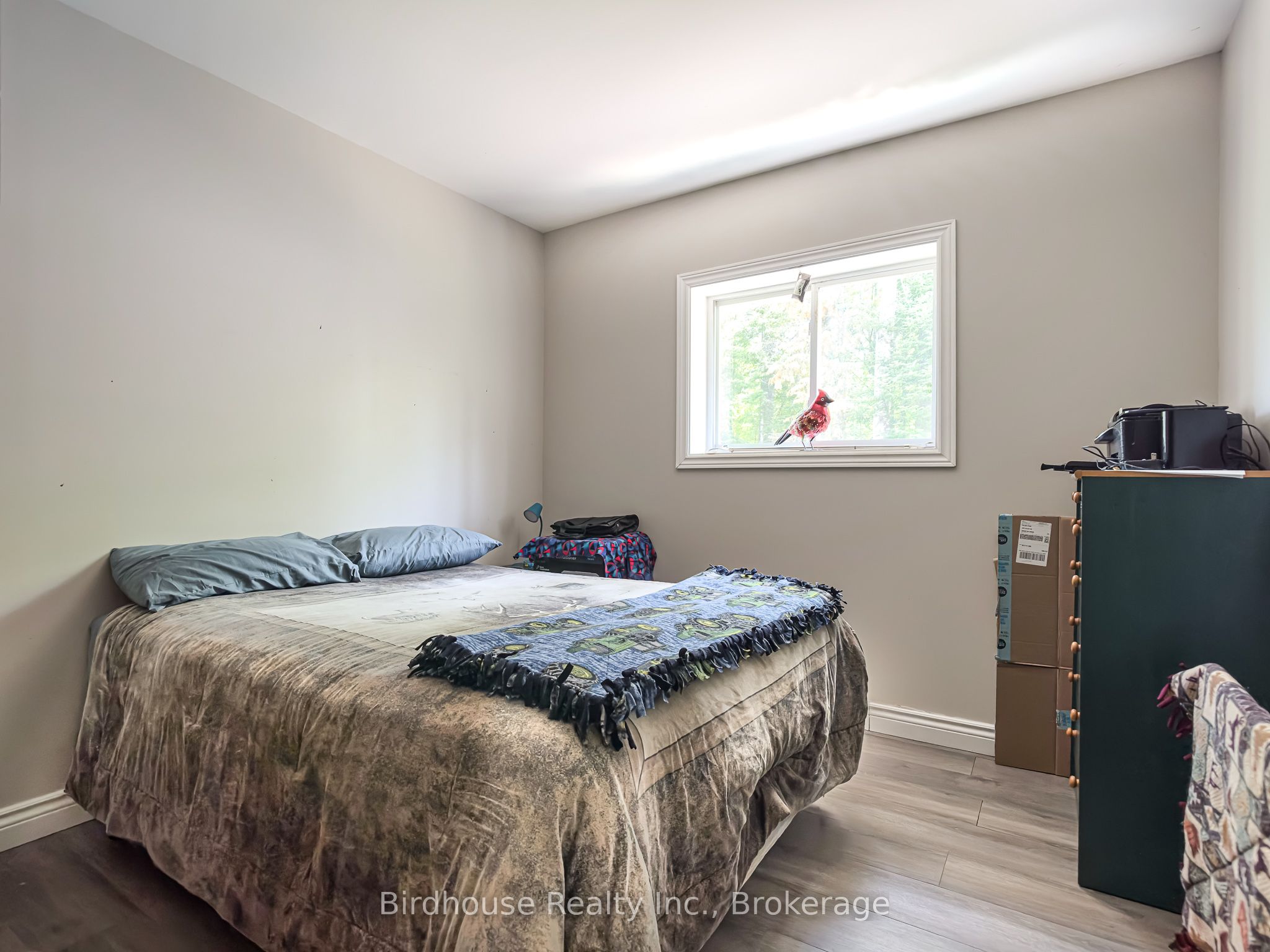 3399 Gelert Road Property Photo 22
