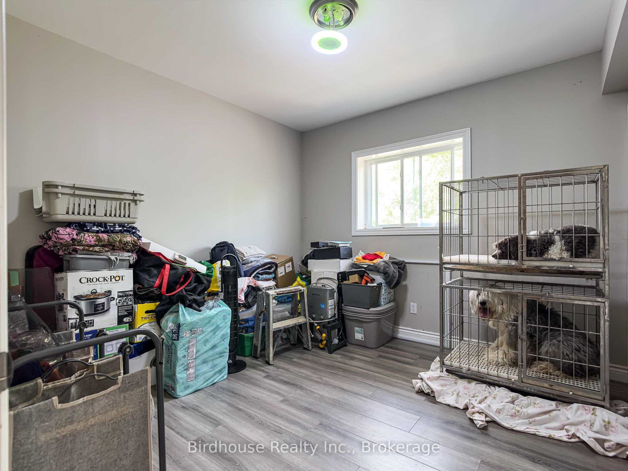 3399 Gelert Road Property Photo 23