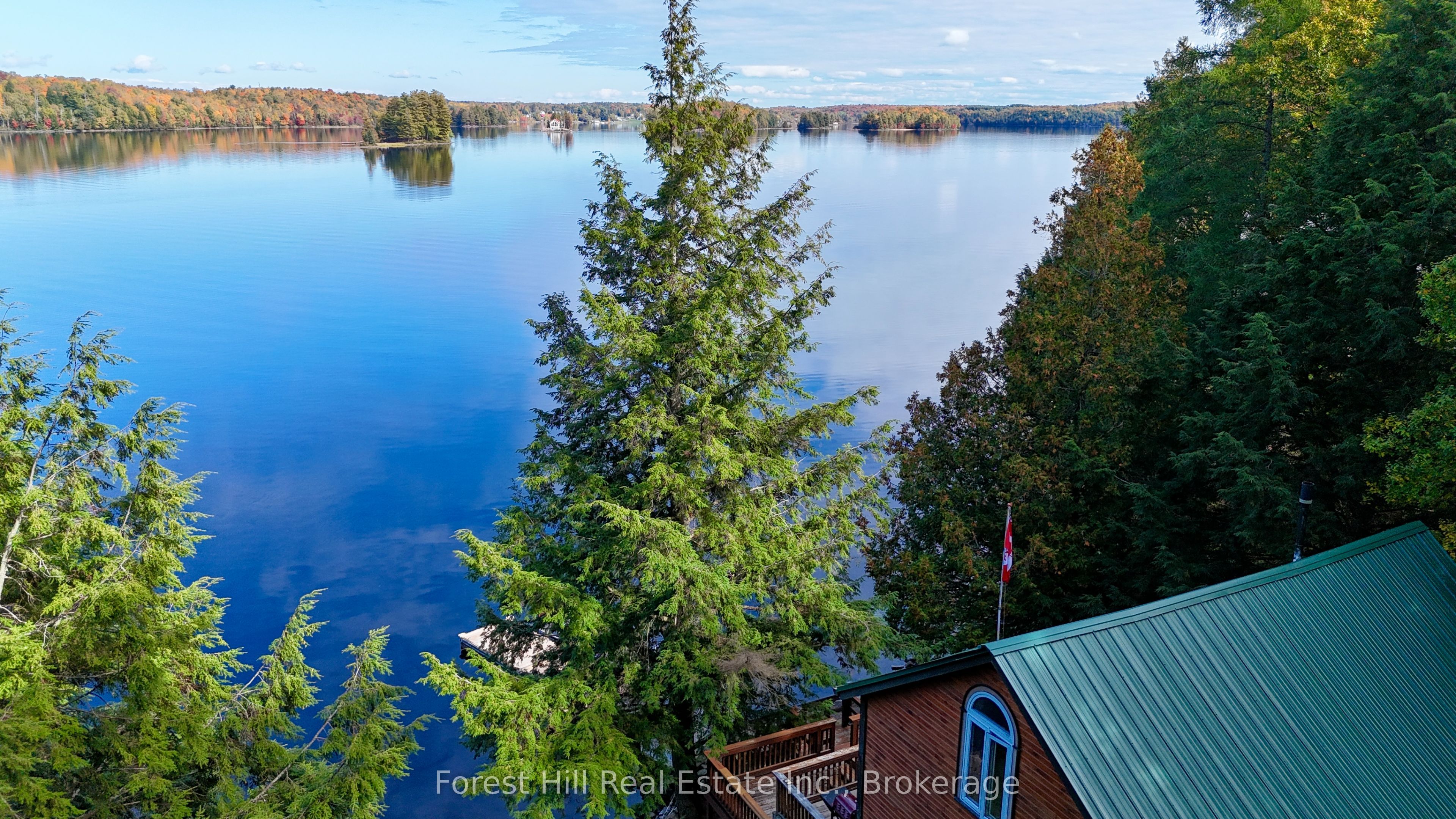 319 Wilson Lake Property Photo 1