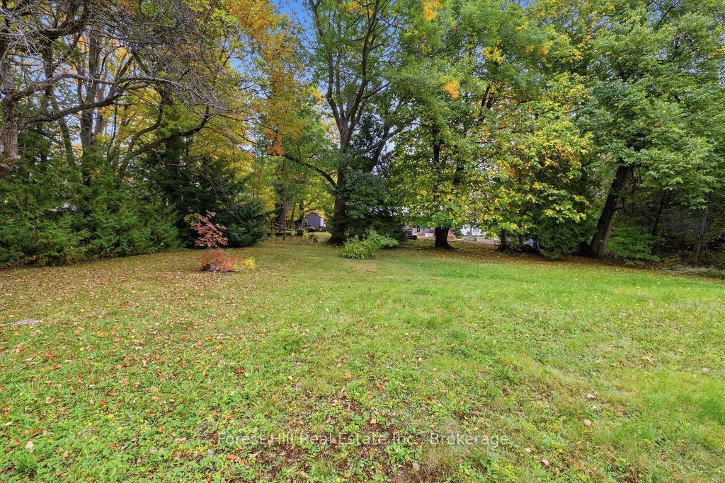1040 River Street Property Photo 14