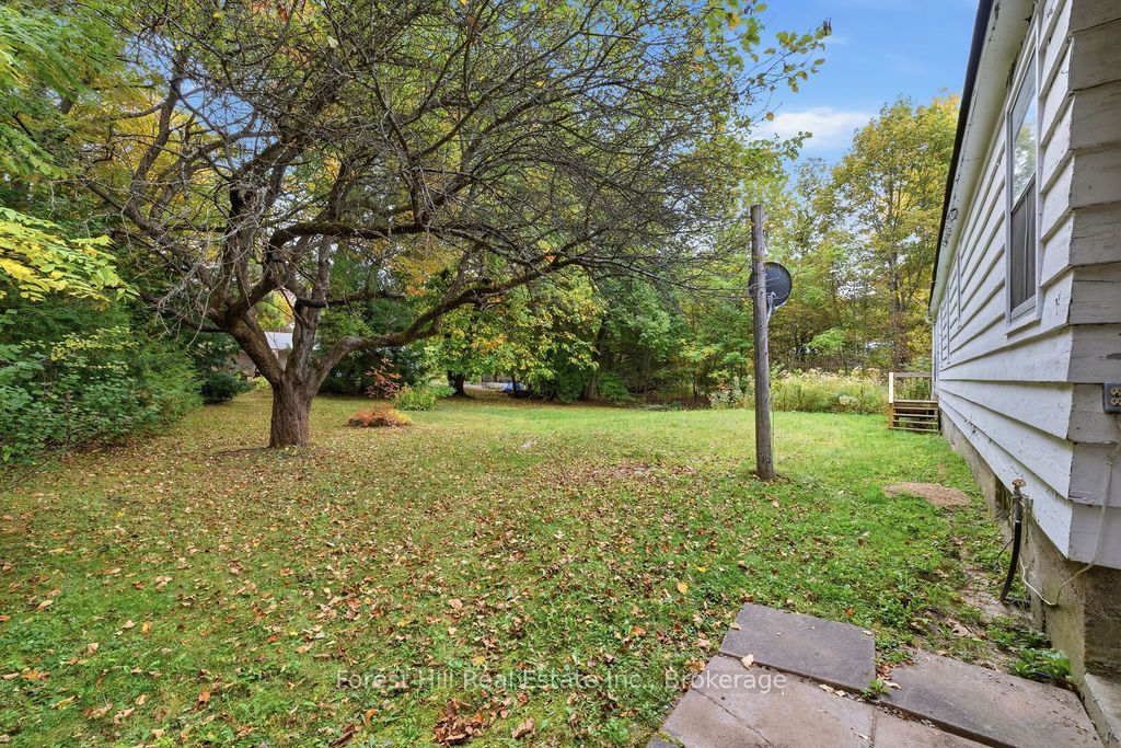 1040 River Street Property Photo 47
