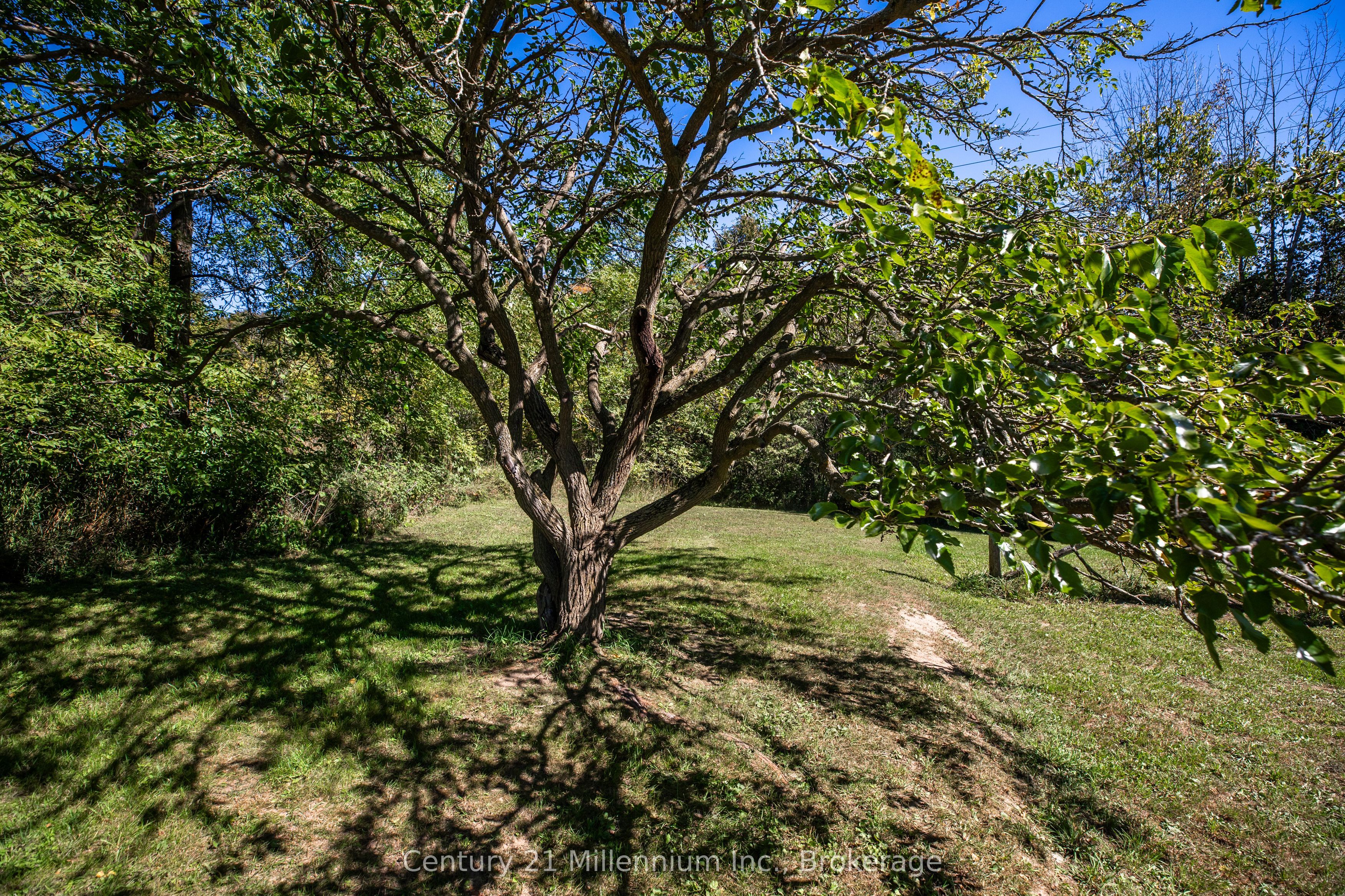 395 Elsinore Road N Property Photo 23