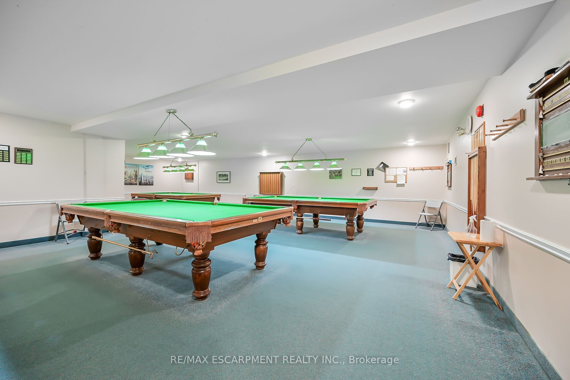 376 Silverbirch Boulevard Property Photo 41