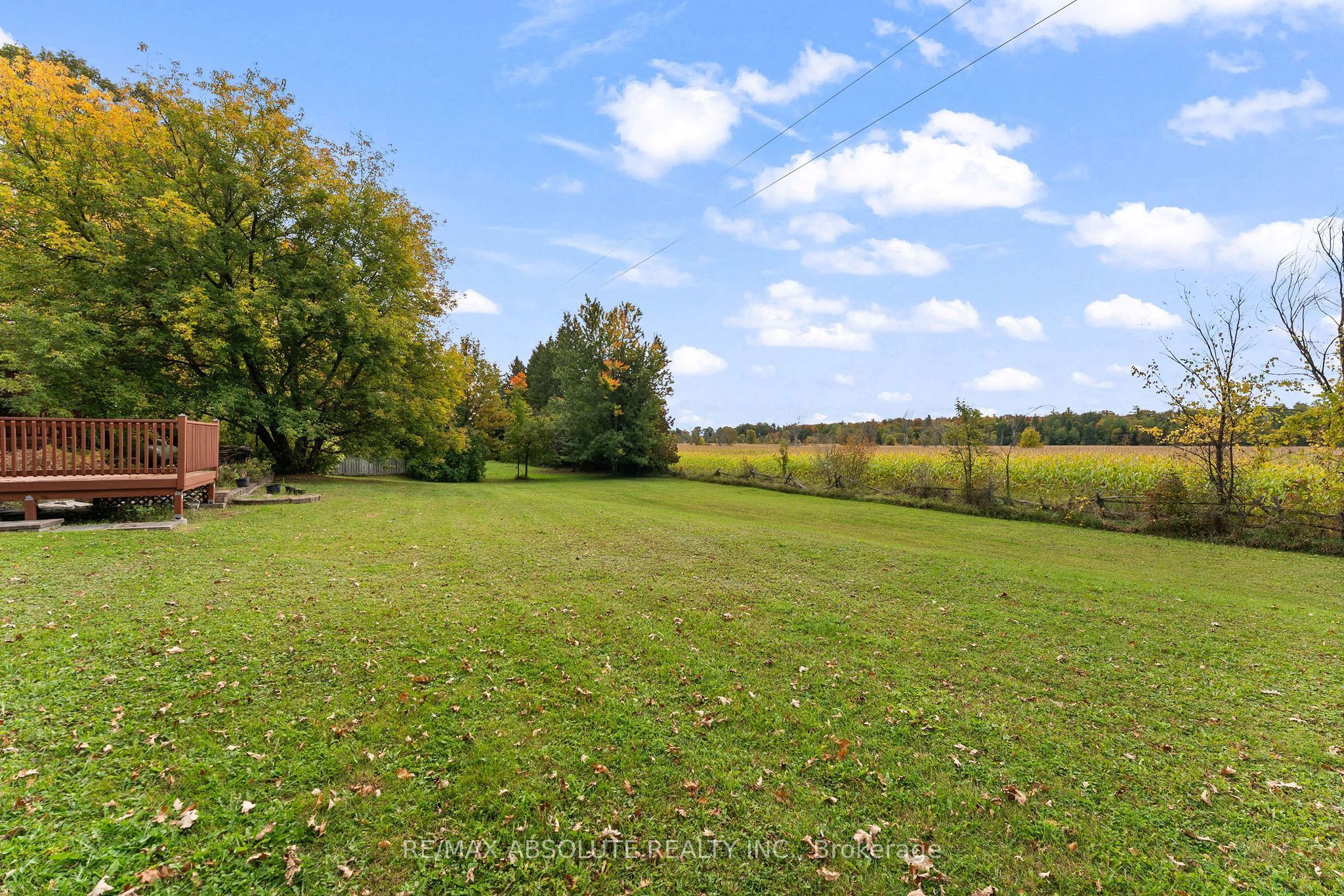 327 Nieman Drive Property Photo 43