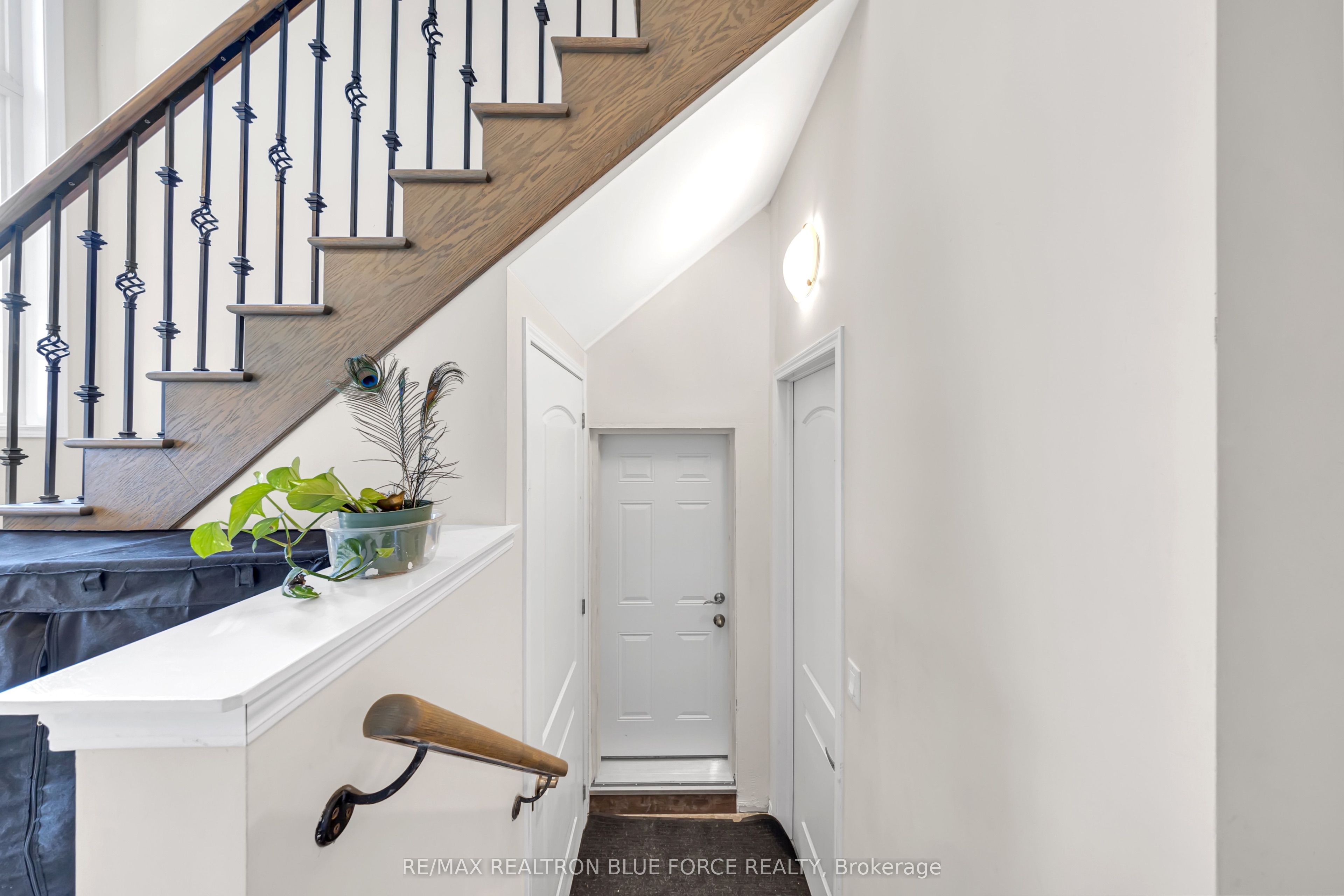 43 July Avenue Property Photo 26