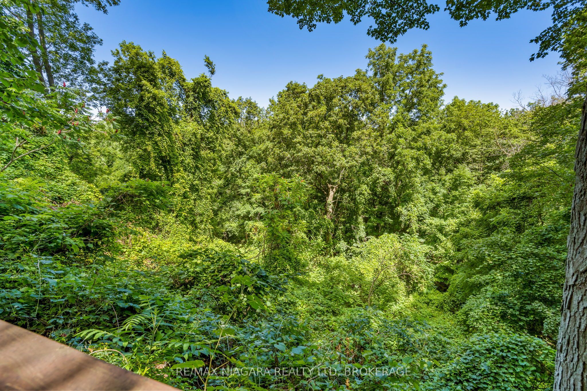429 Ridge Road E Property Photo 21