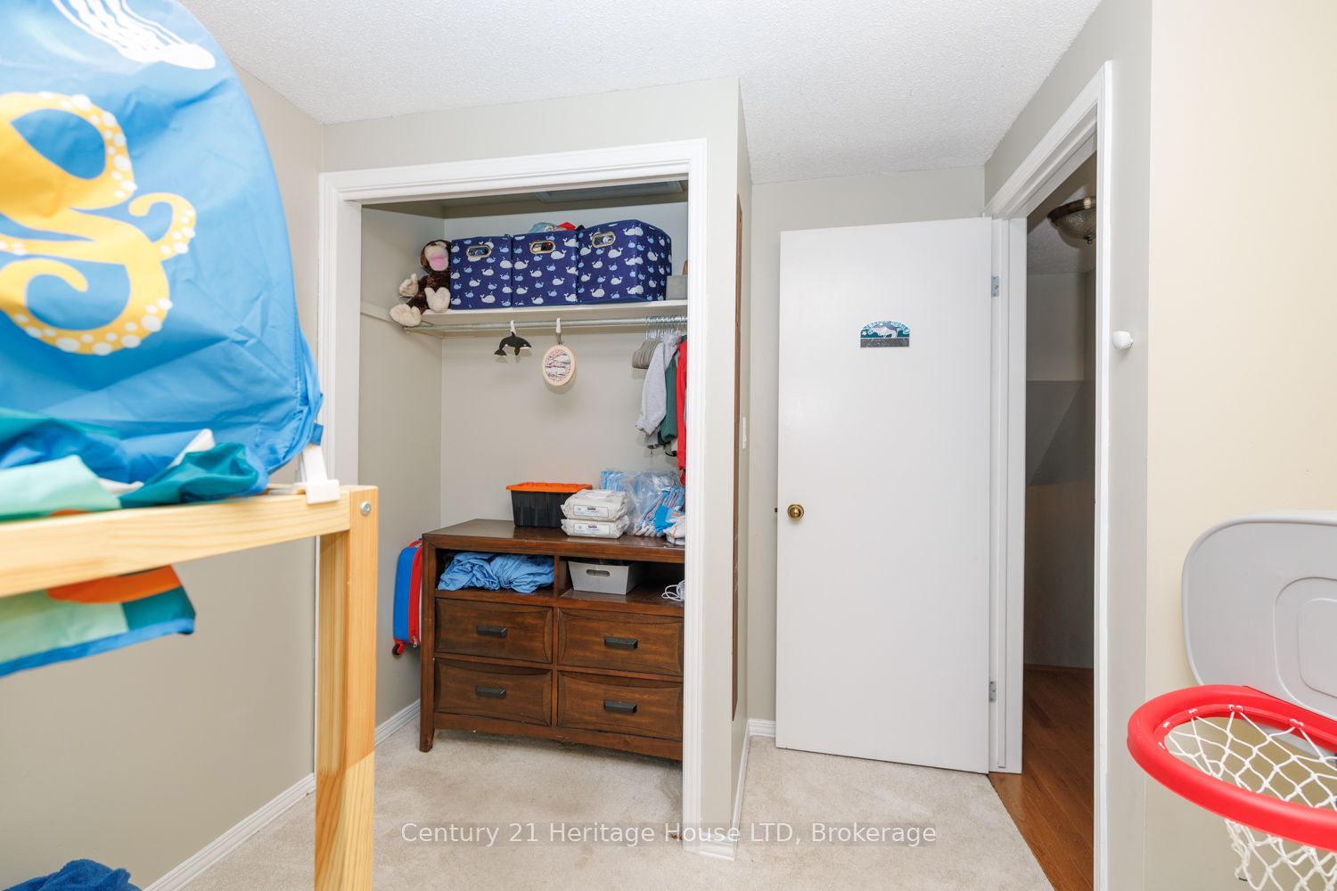 7 Mcnicholl Circle Property Photo 19