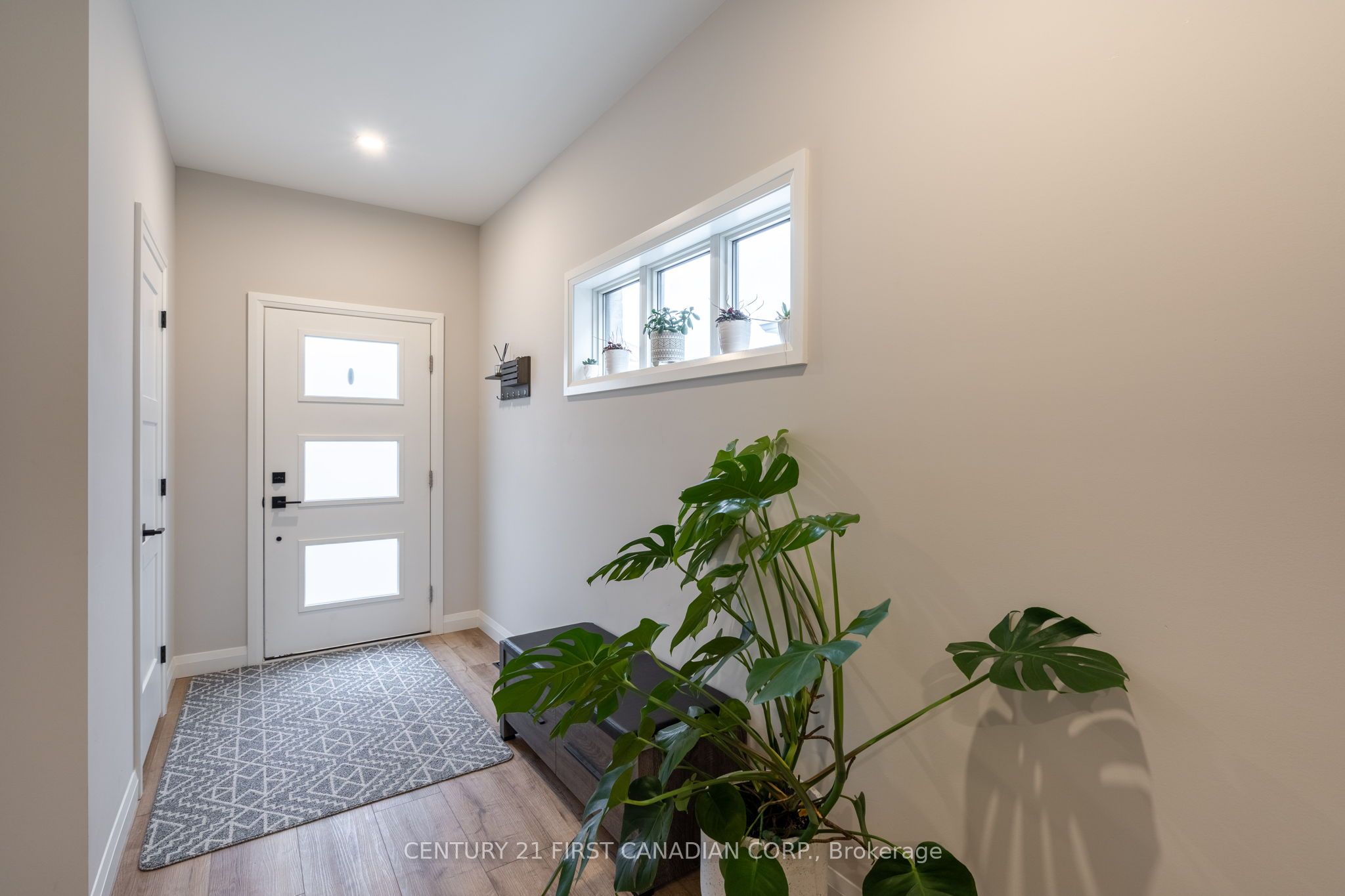 17 Nicholson Street 19 Property Photo 3