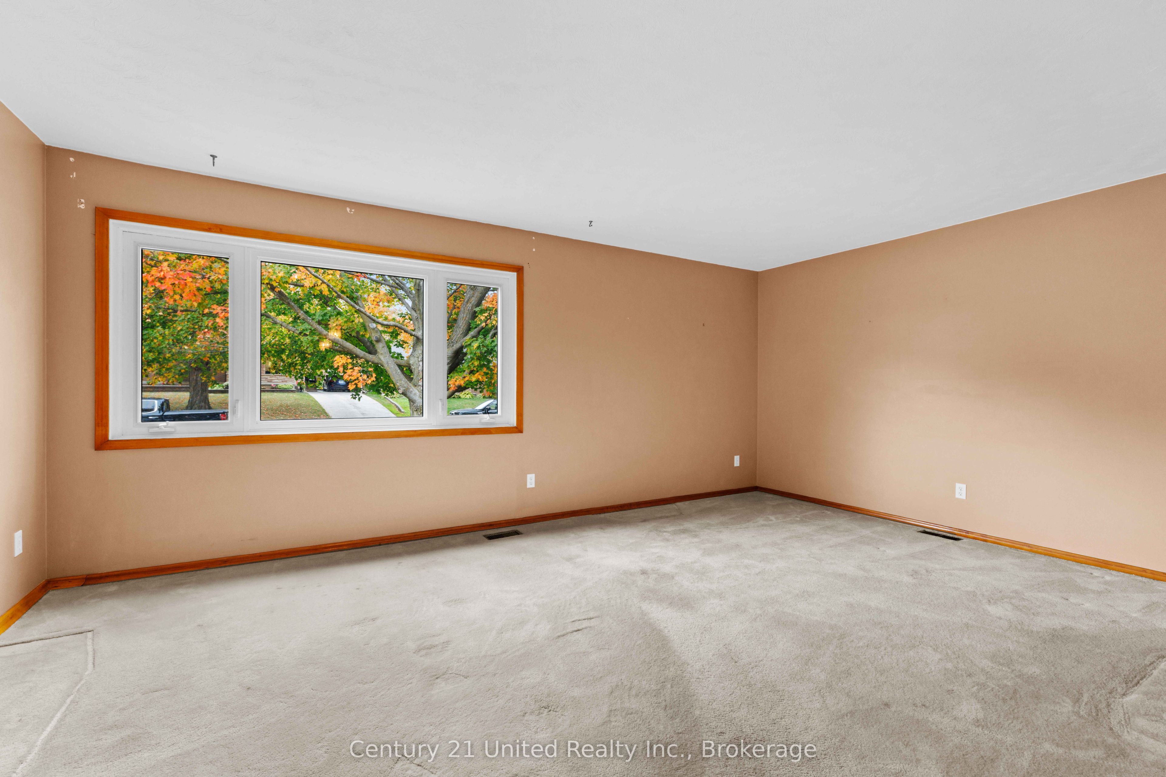 1175 Edmison Drive Property Photo 12