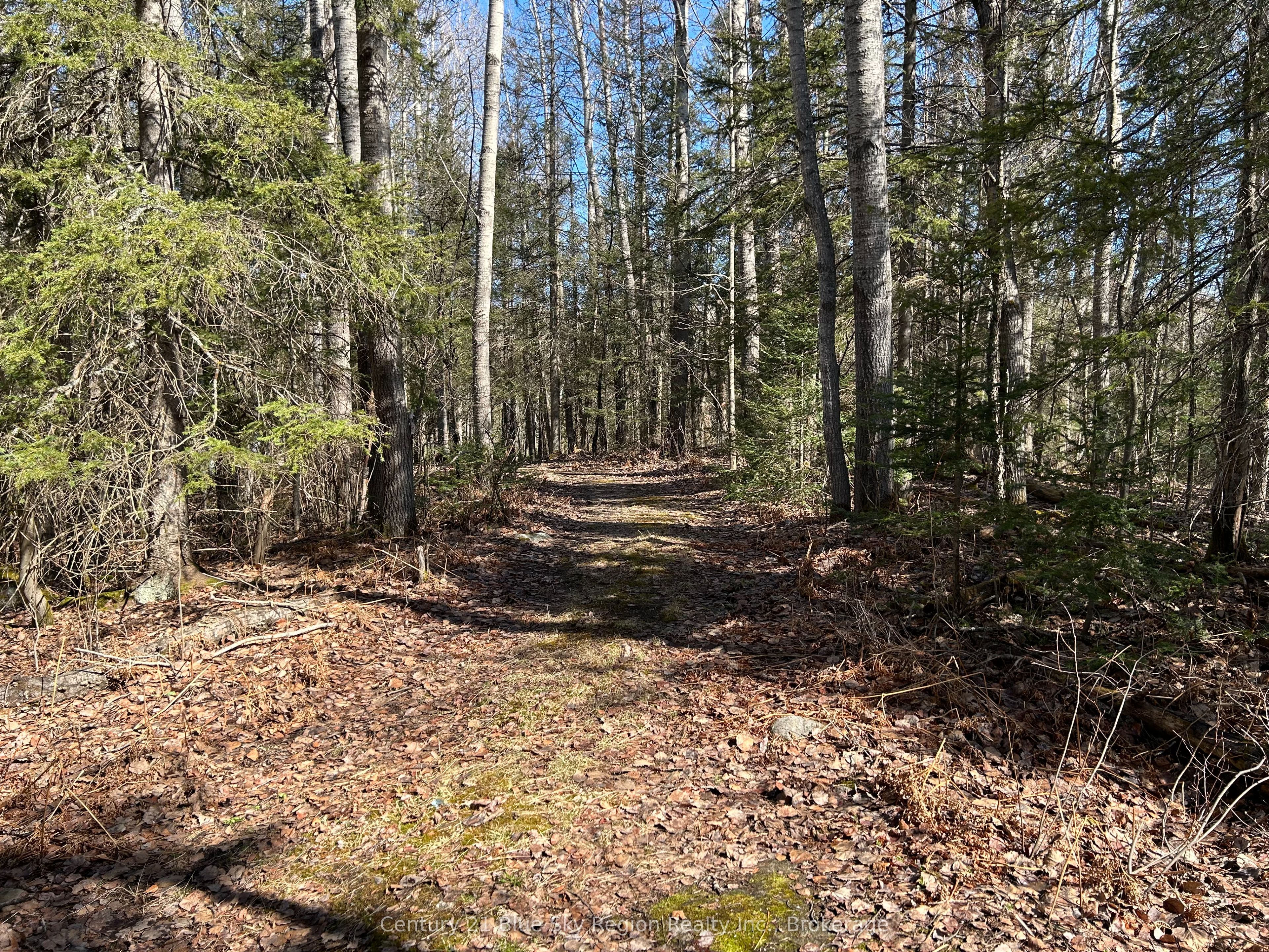 Con 9 Pt Lot 17 Highway 534 Property Photo 3