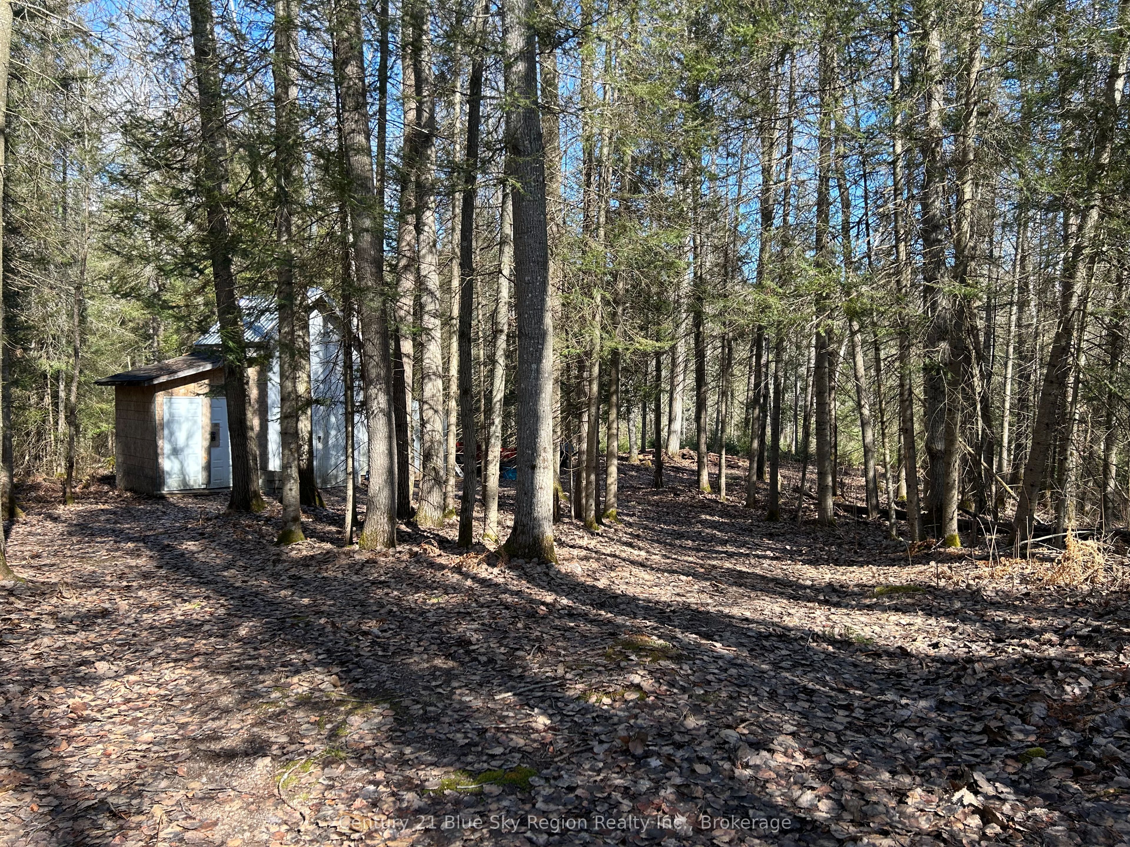 Con 9 Pt Lot 17 Highway 534 Property Photo 5