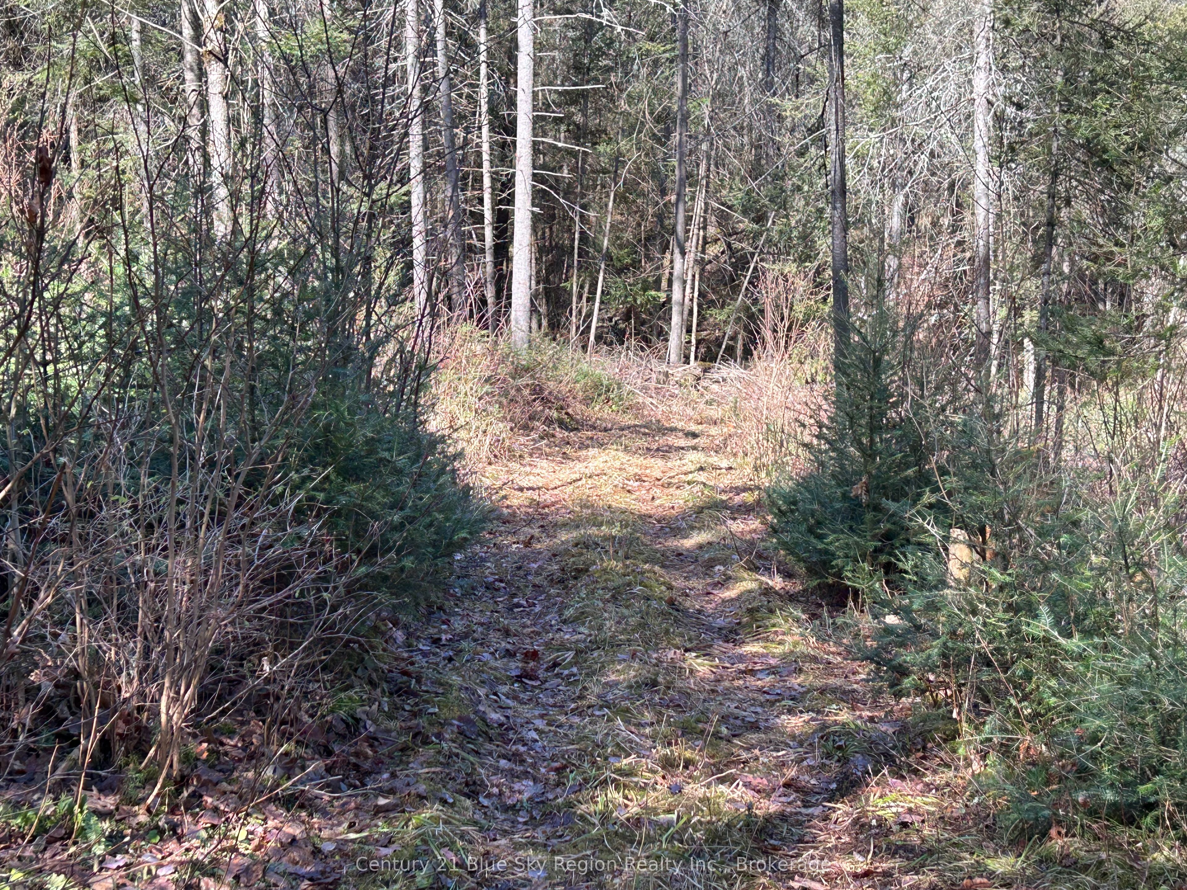 Con 9 Pt Lot 17 Highway 534 Property Photo 6