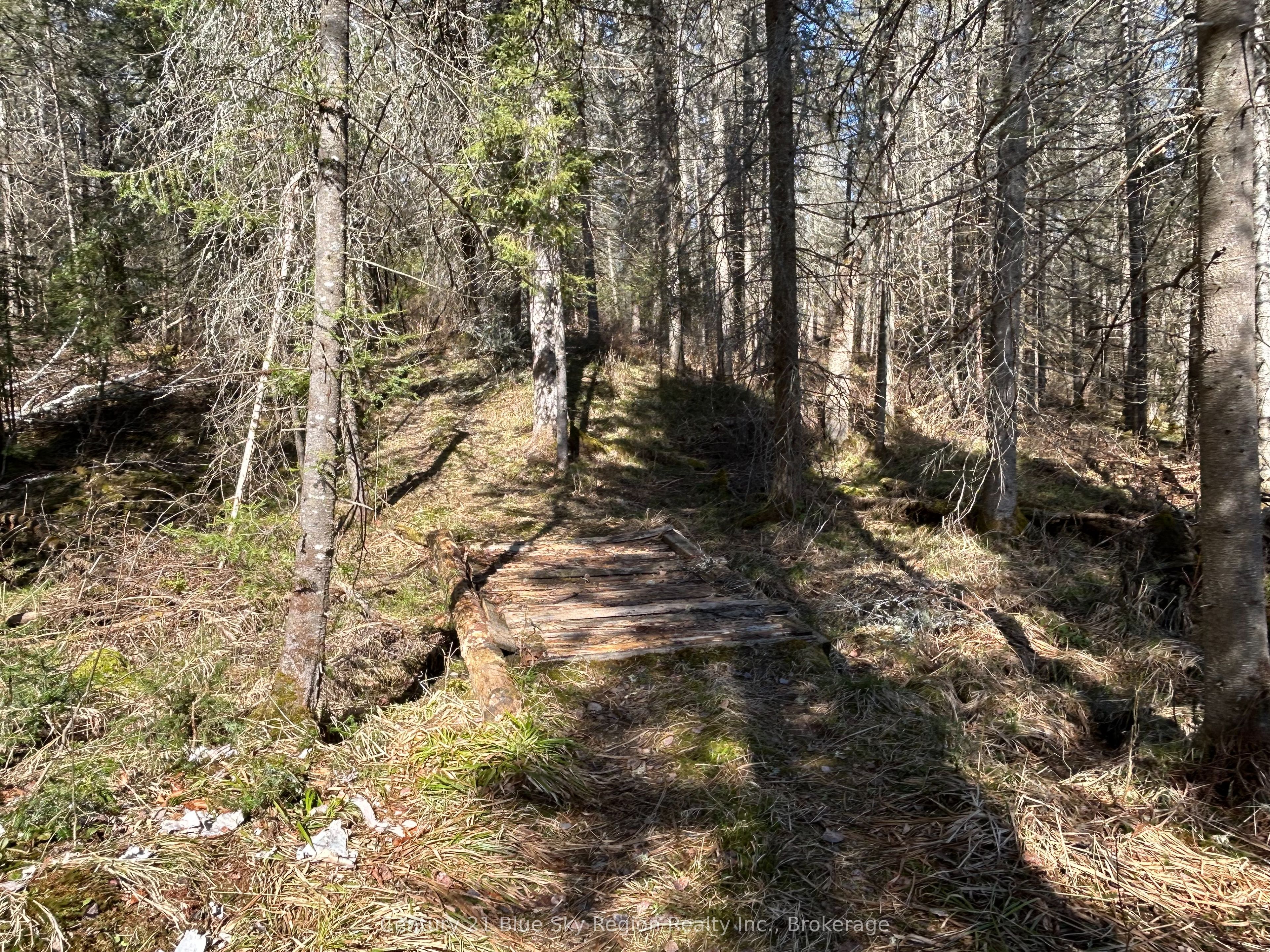 Con 9 Pt Lot 17 Highway 534 Property Photo 7