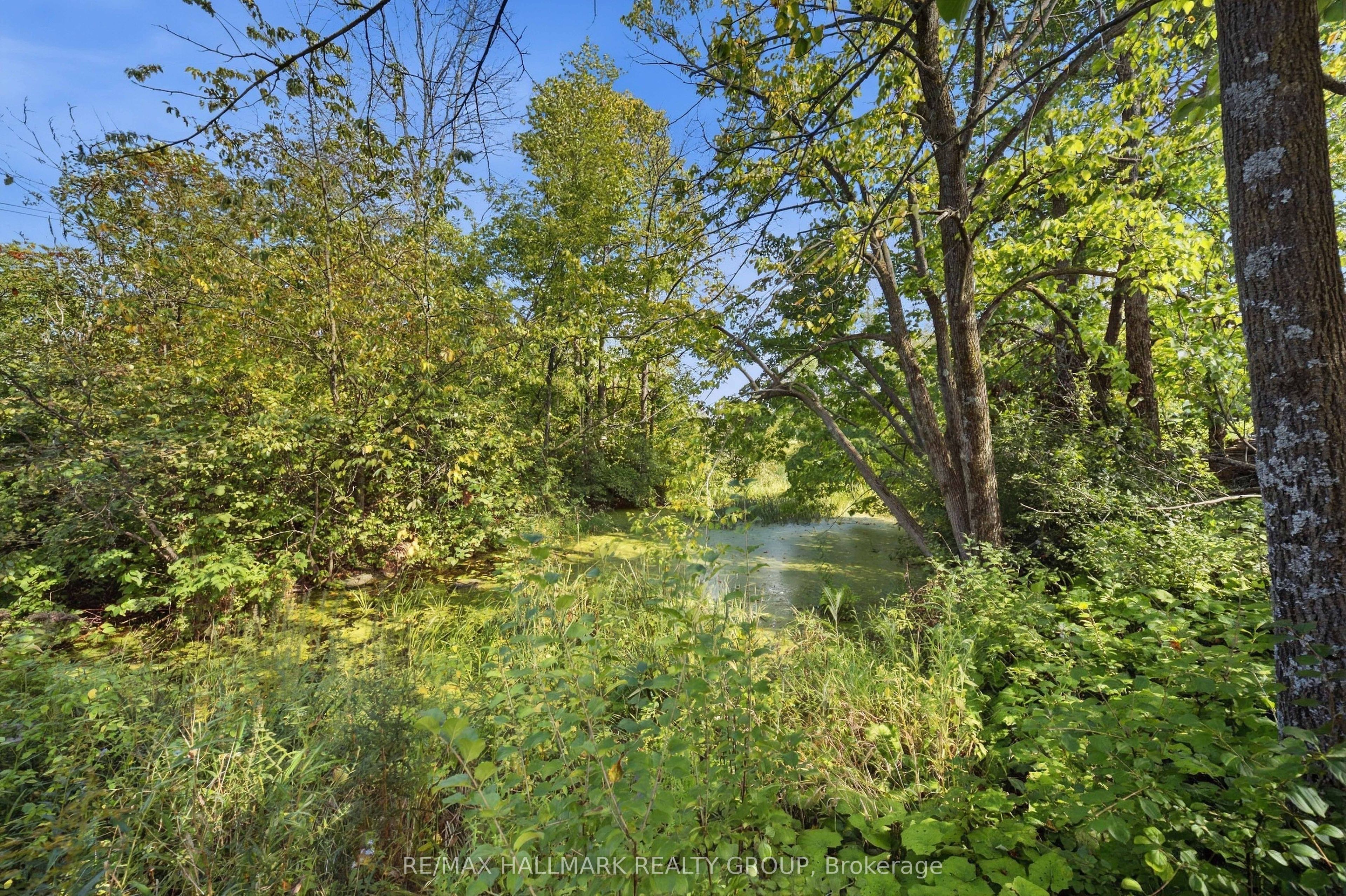3515 Front Road E Property Photo 45
