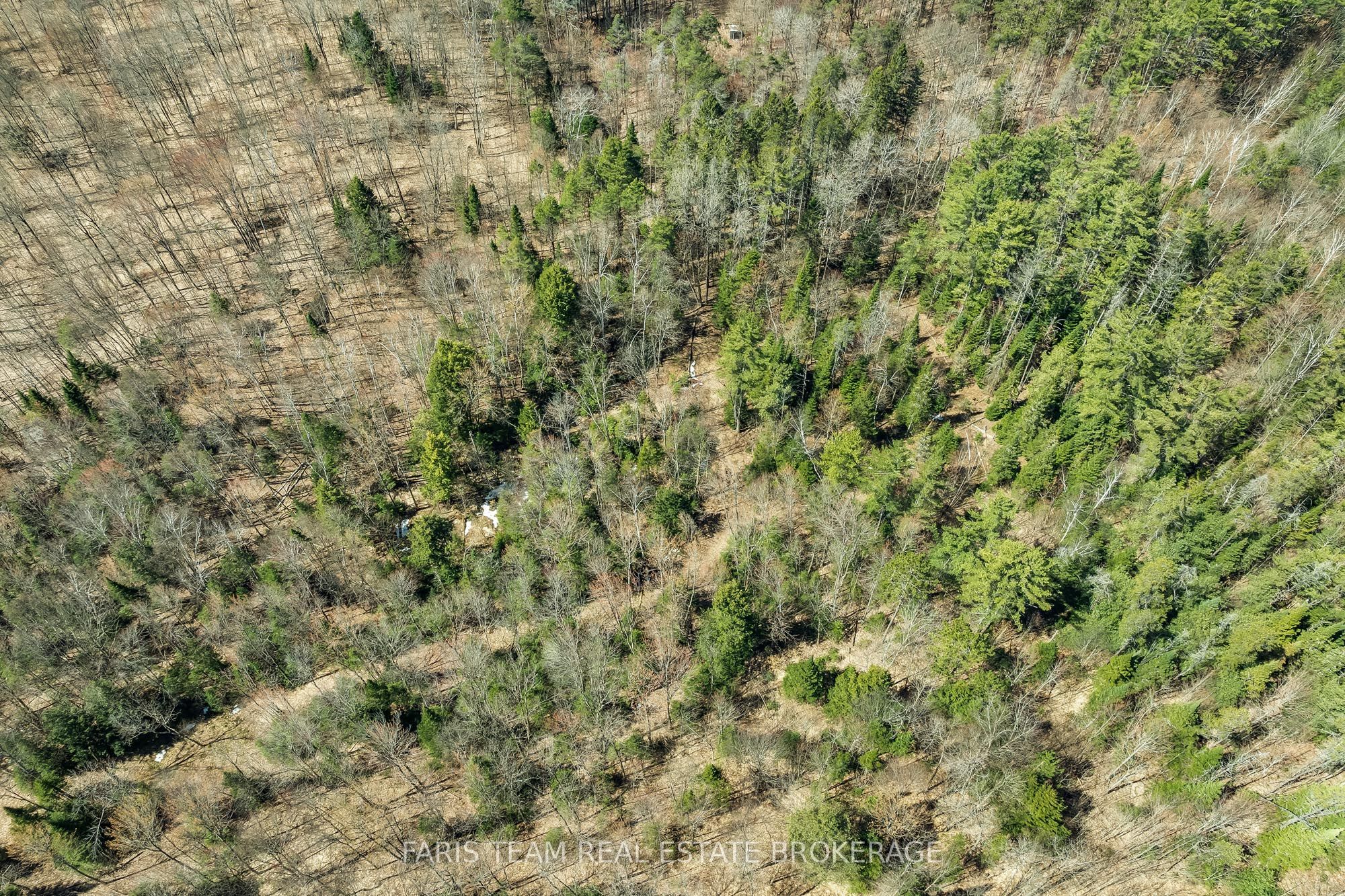 2180-2186 Highway 141 Property Photo 37