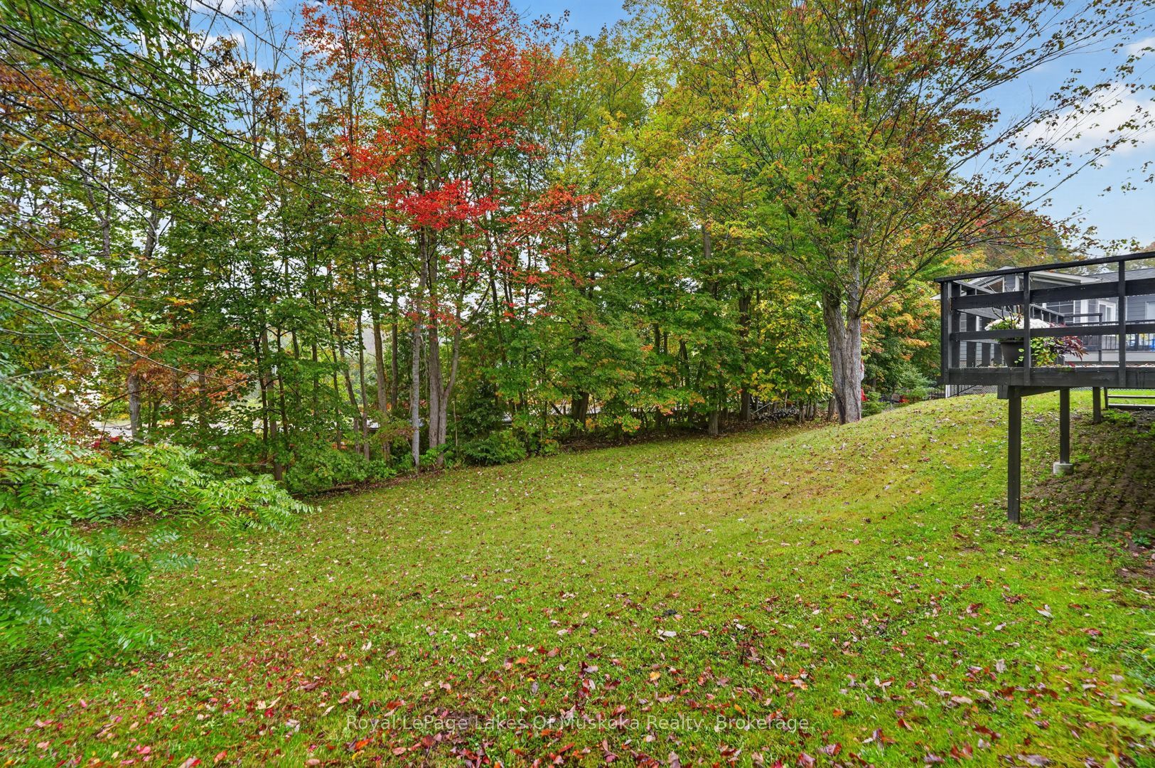 288 Musquash Road Property Photo 42