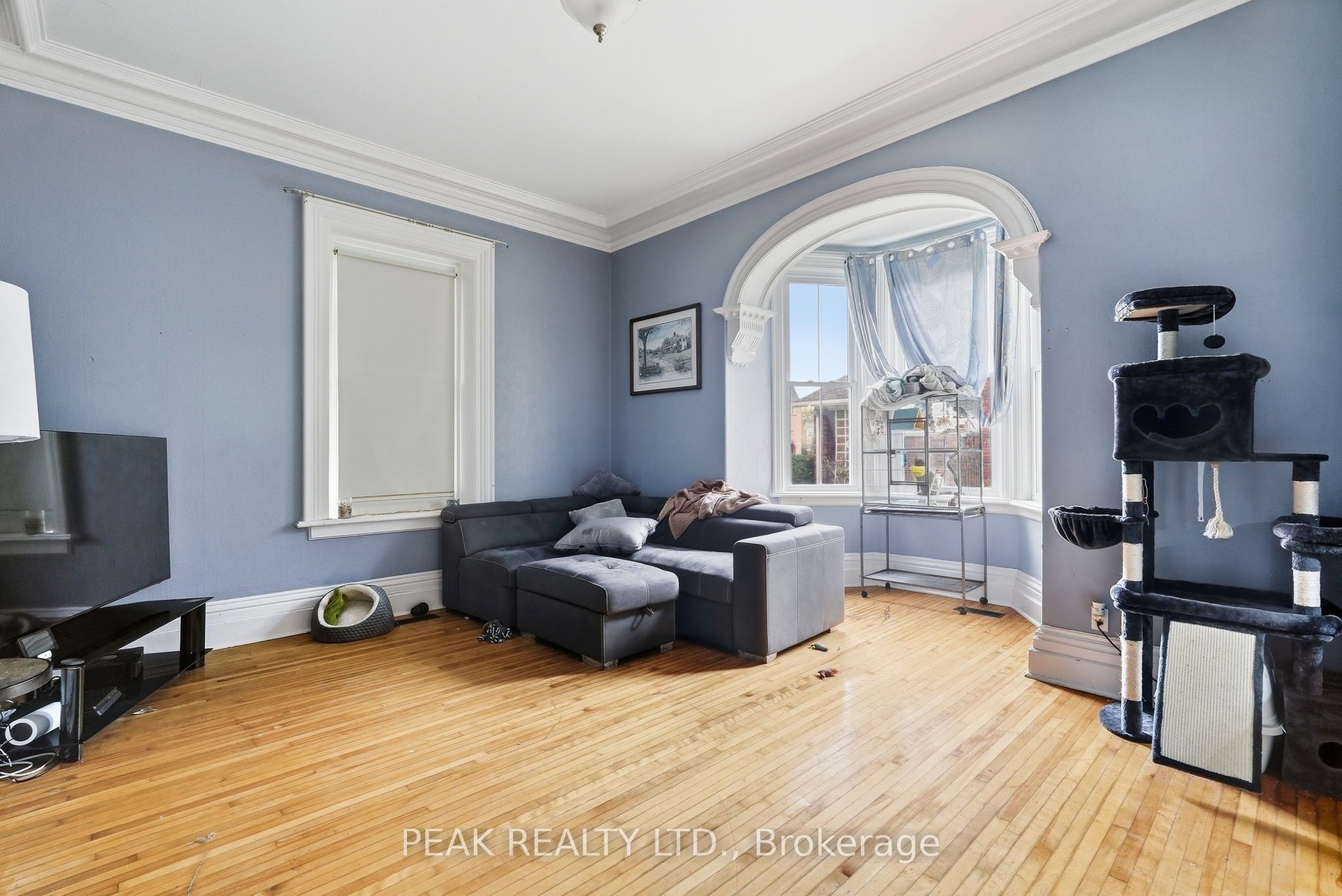 107 Cayley Street Property Photo 25