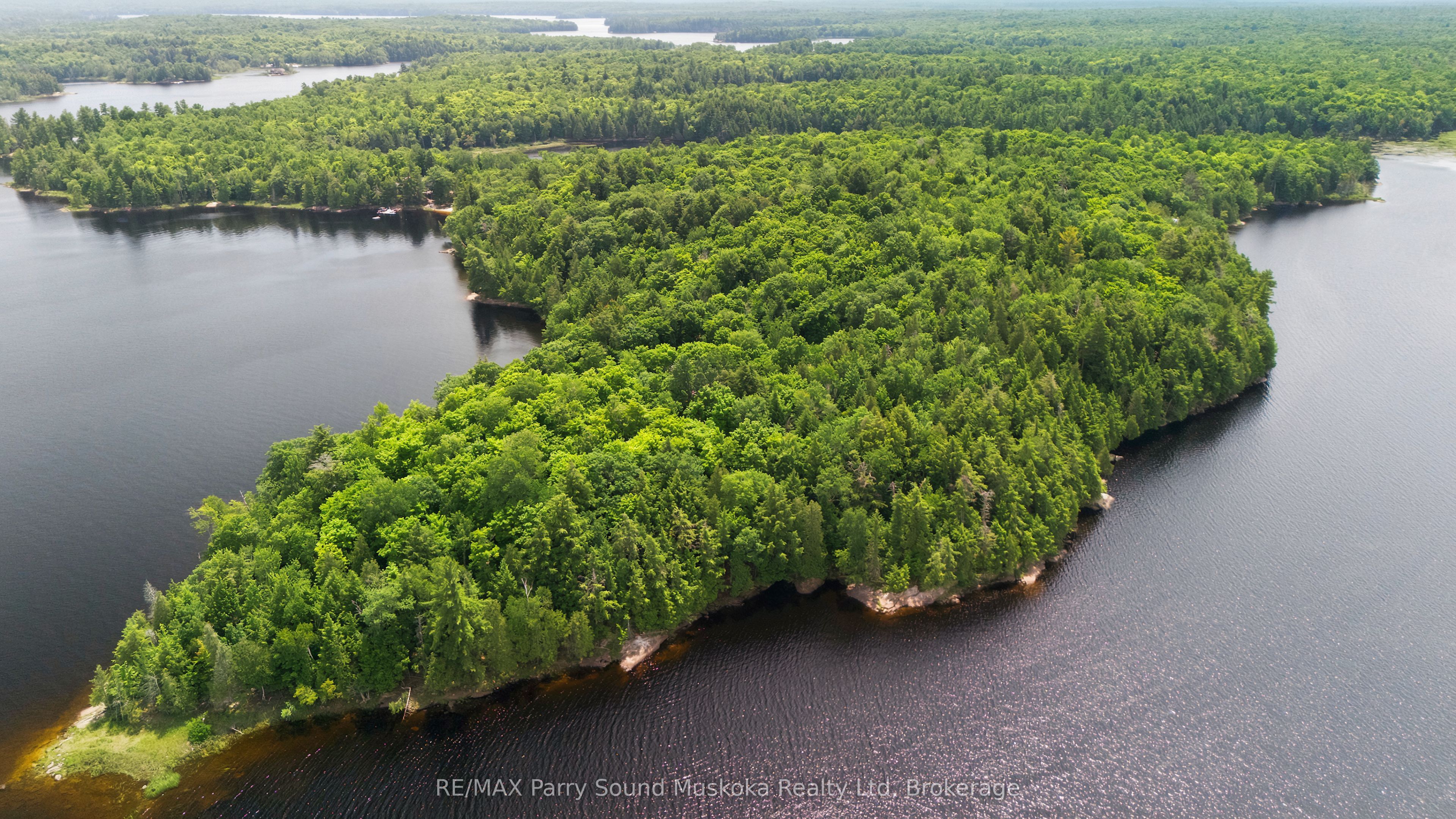 6 W/a Lake Wahwashkesh Property Photo 8