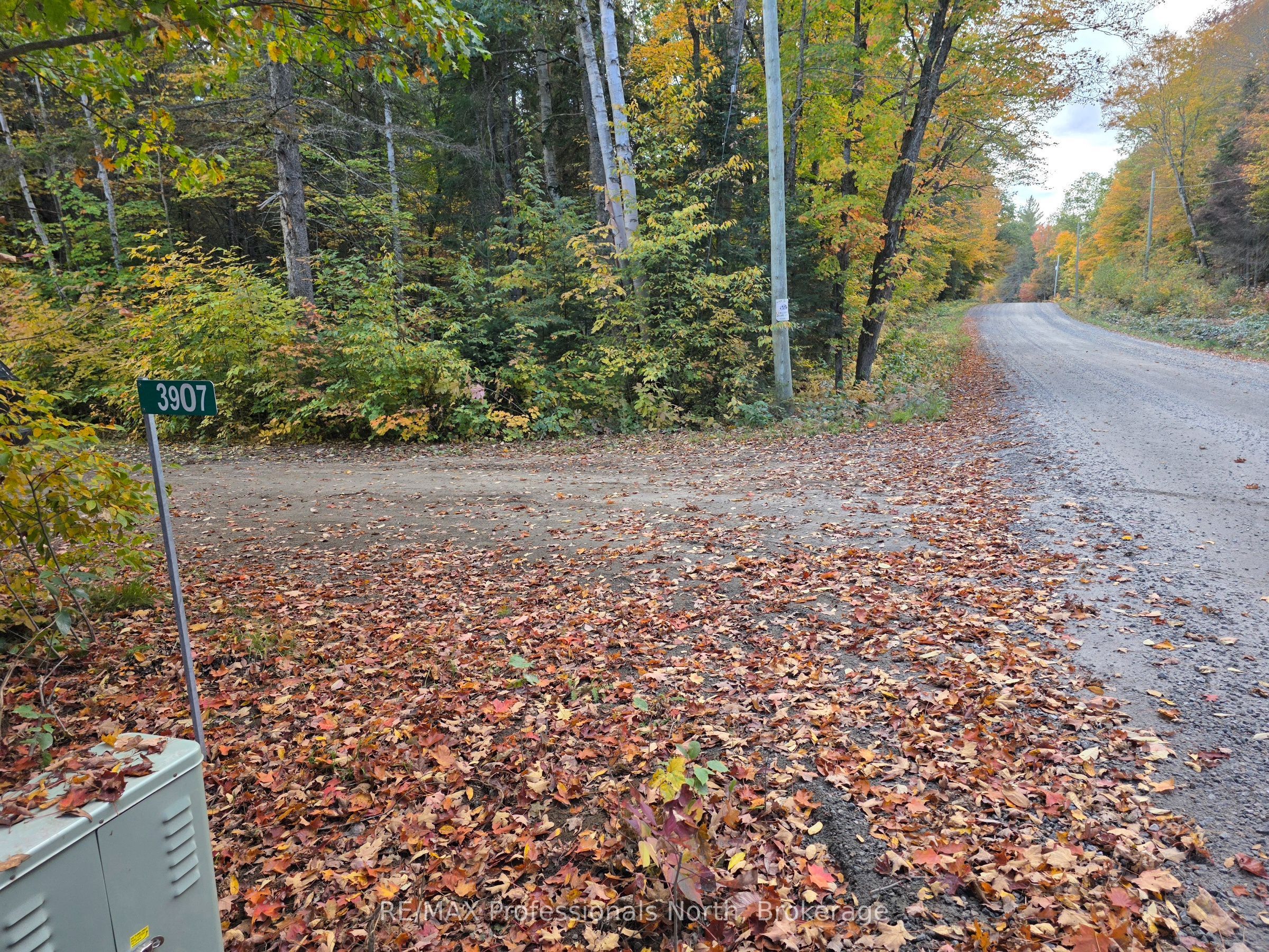 3907 Stisted Road Property Photo 1