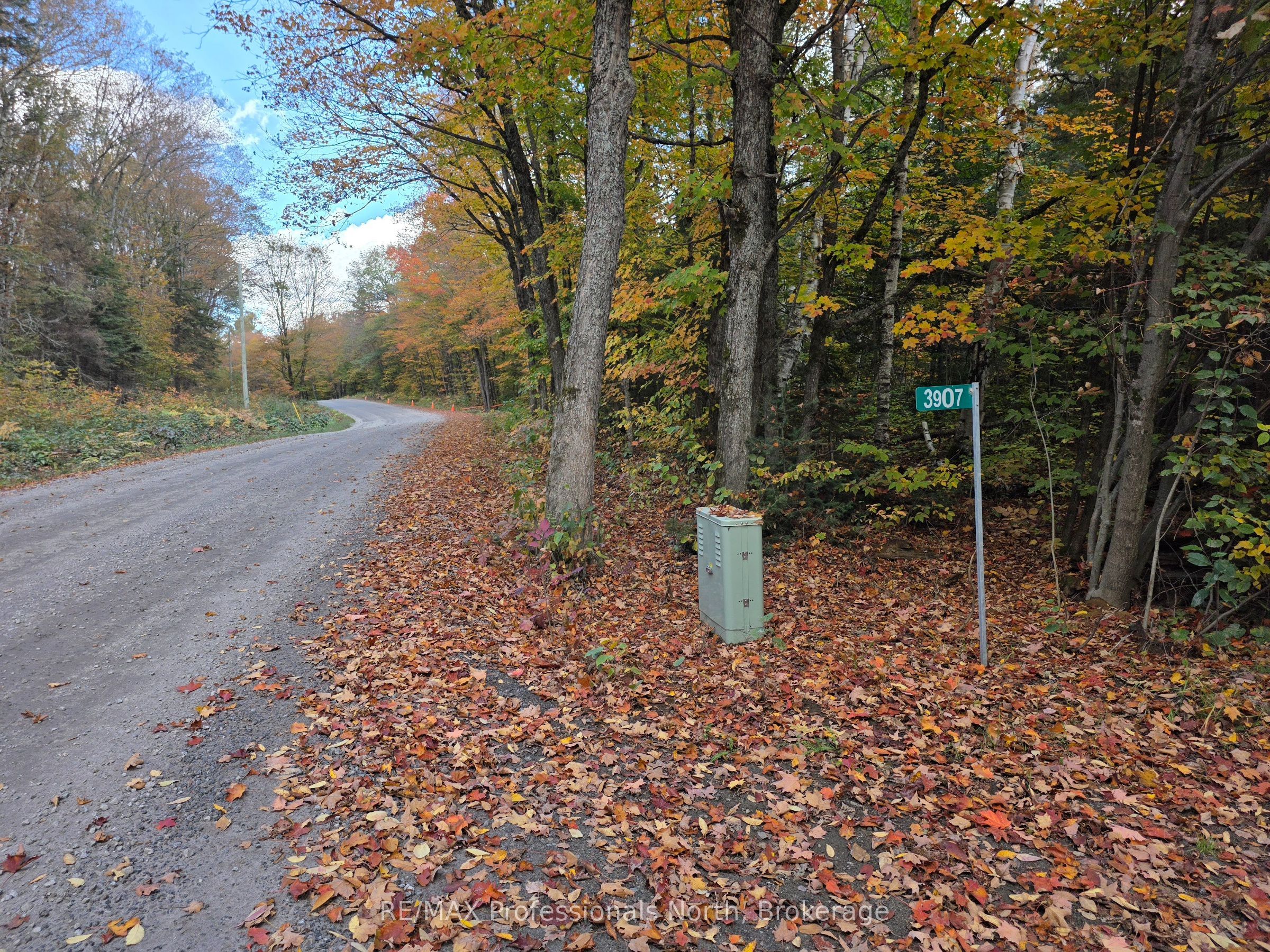3907 Stisted Road Property Photo 2
