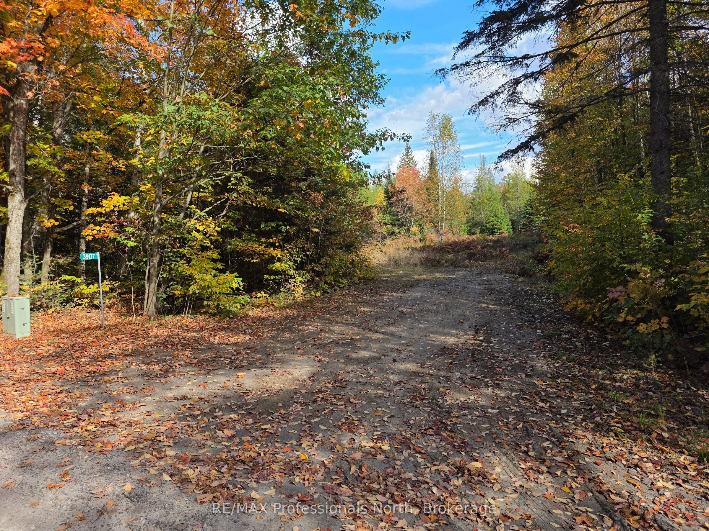3907 Stisted Road Property Photo 4