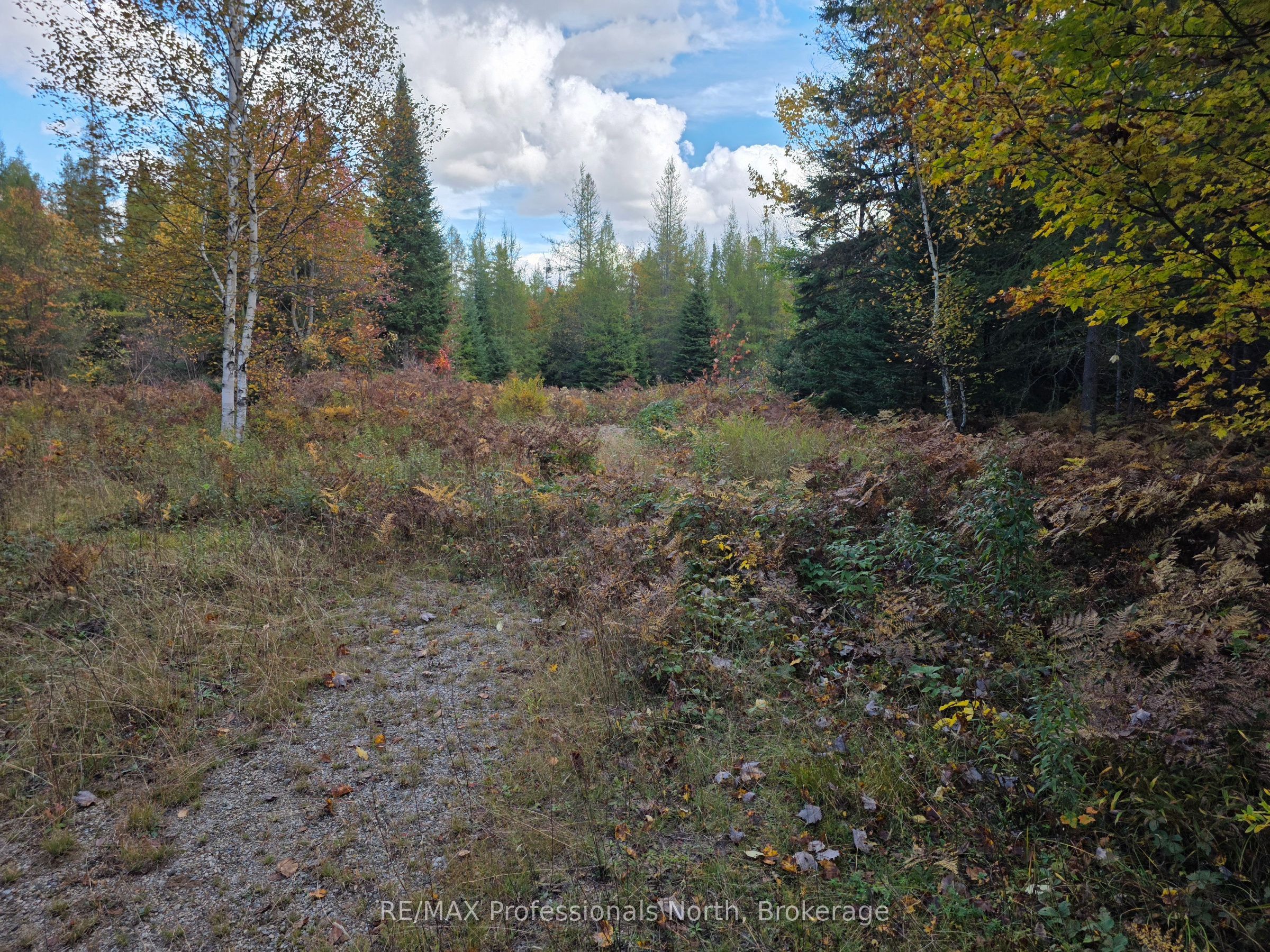 3907 Stisted Road Property Photo 8