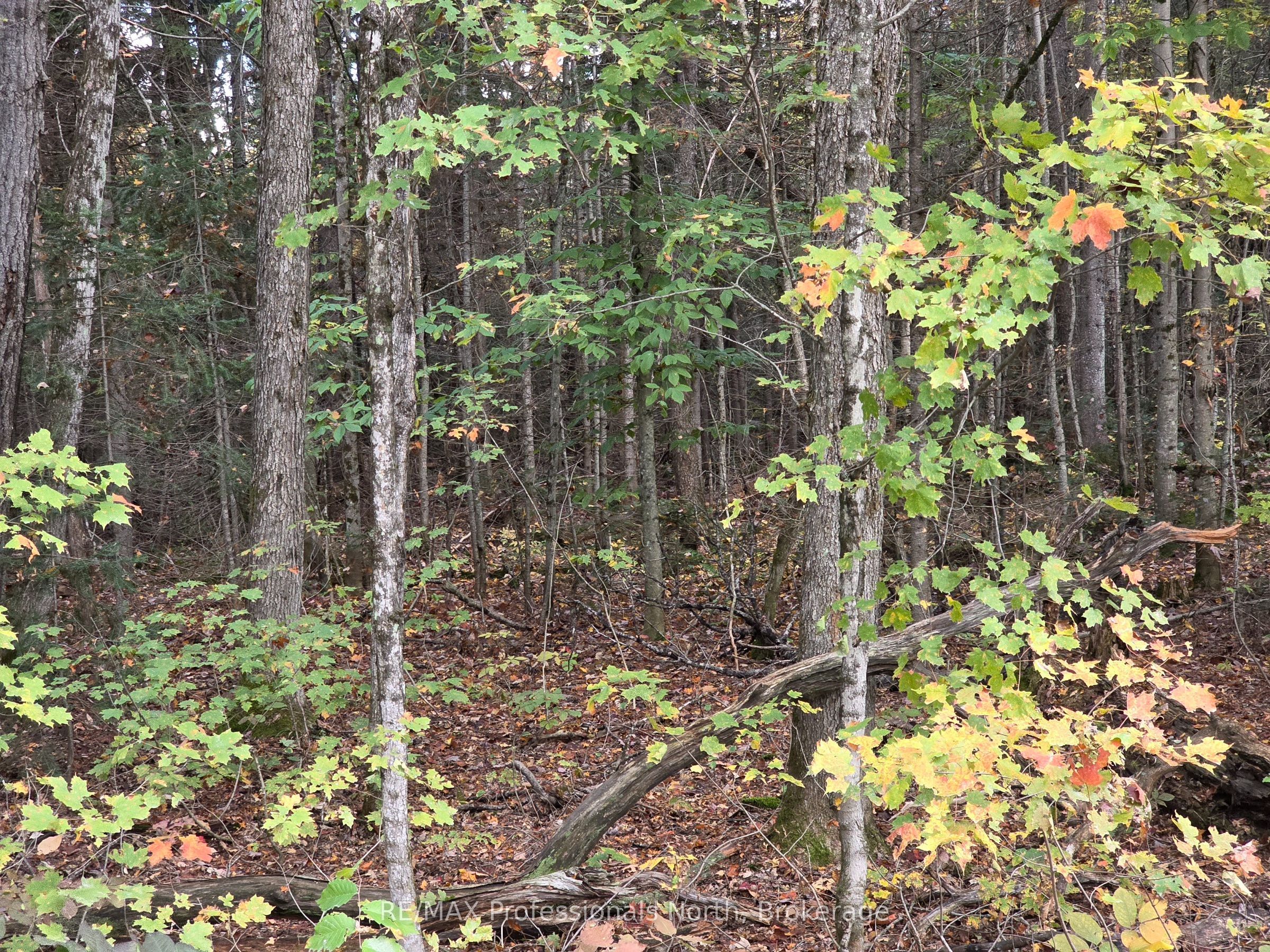 3907 Stisted Road Property Photo 9