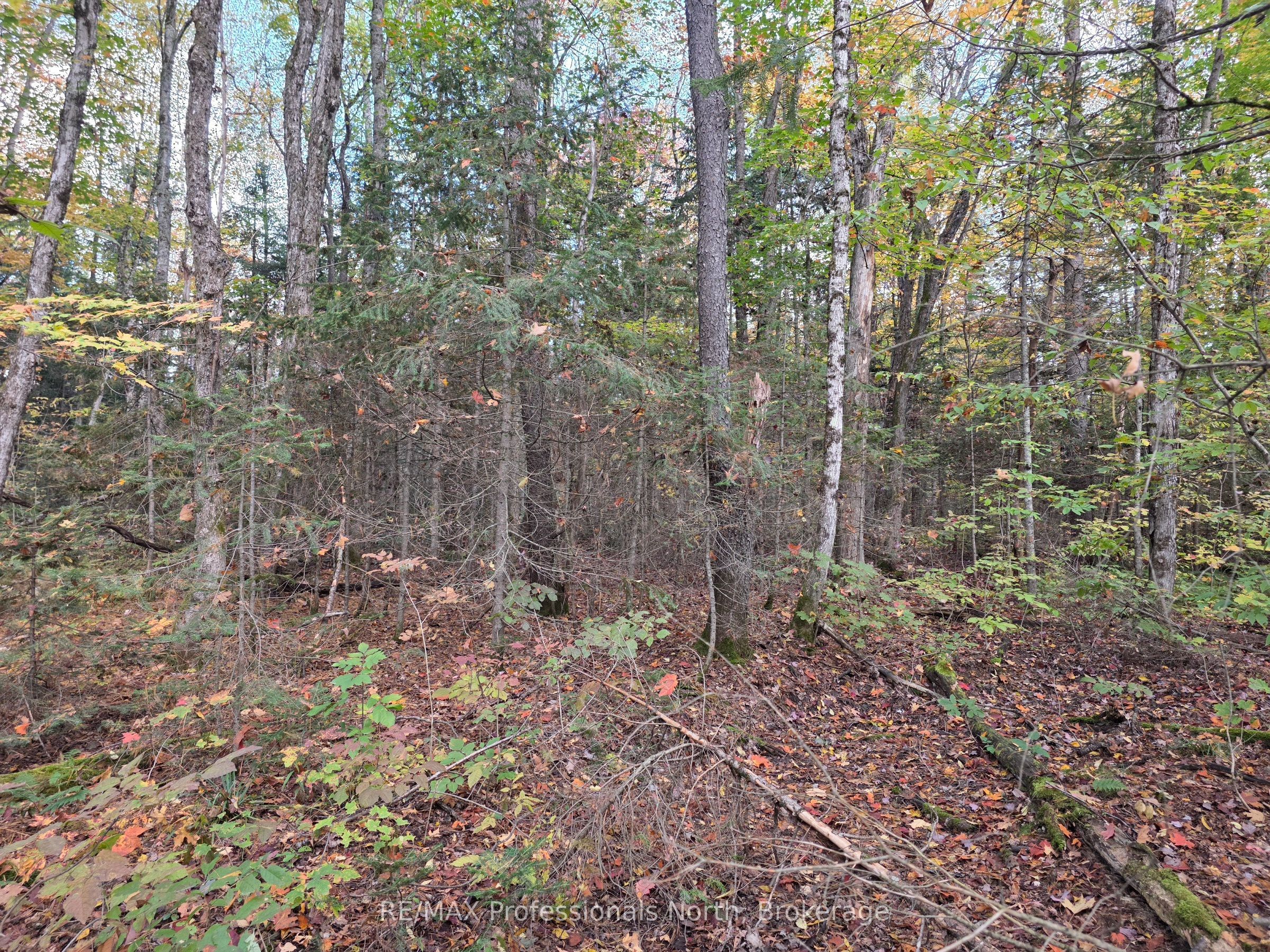 3907 Stisted Road Property Photo 10
