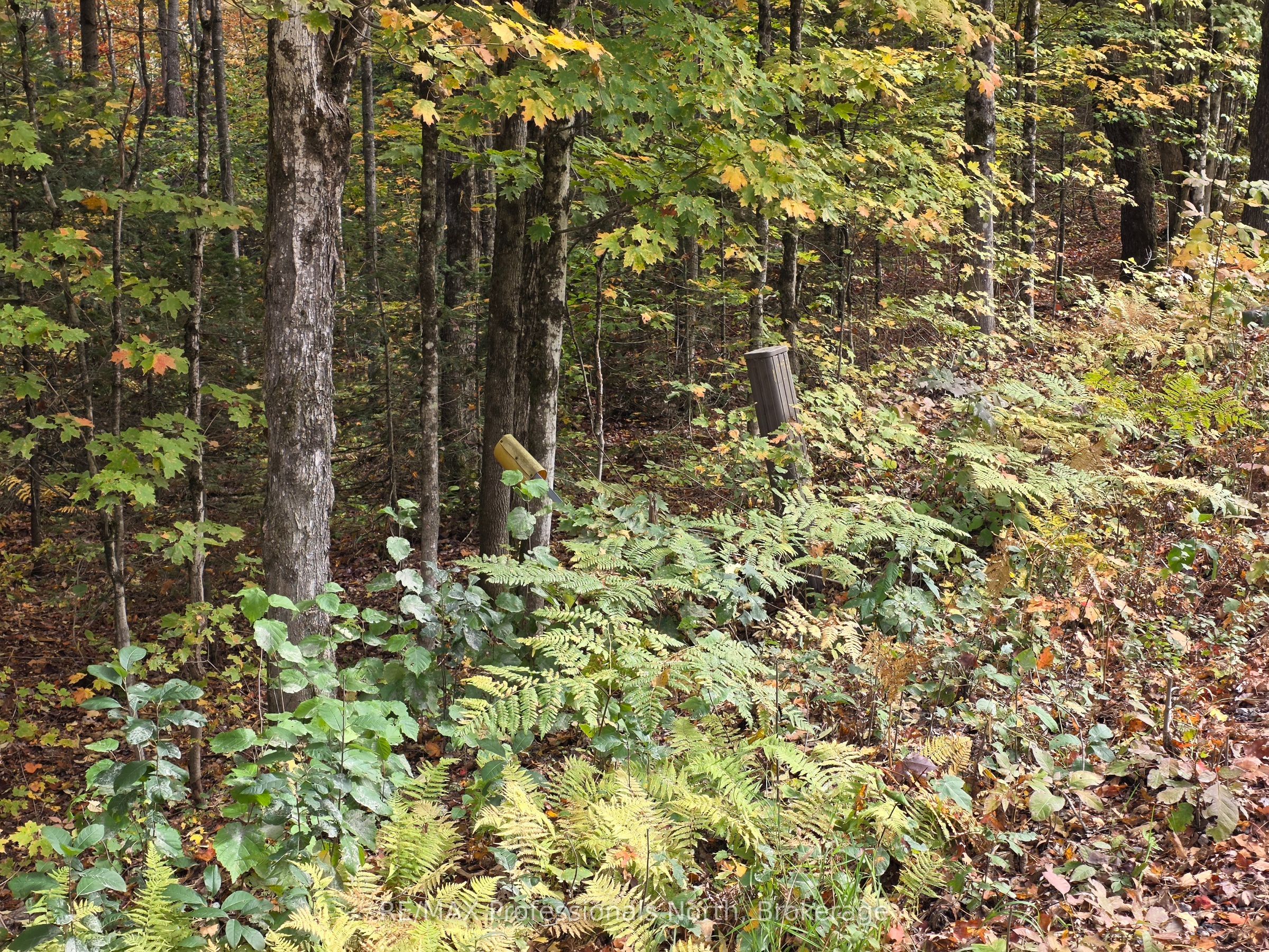 3907 Stisted Road Property Photo 11