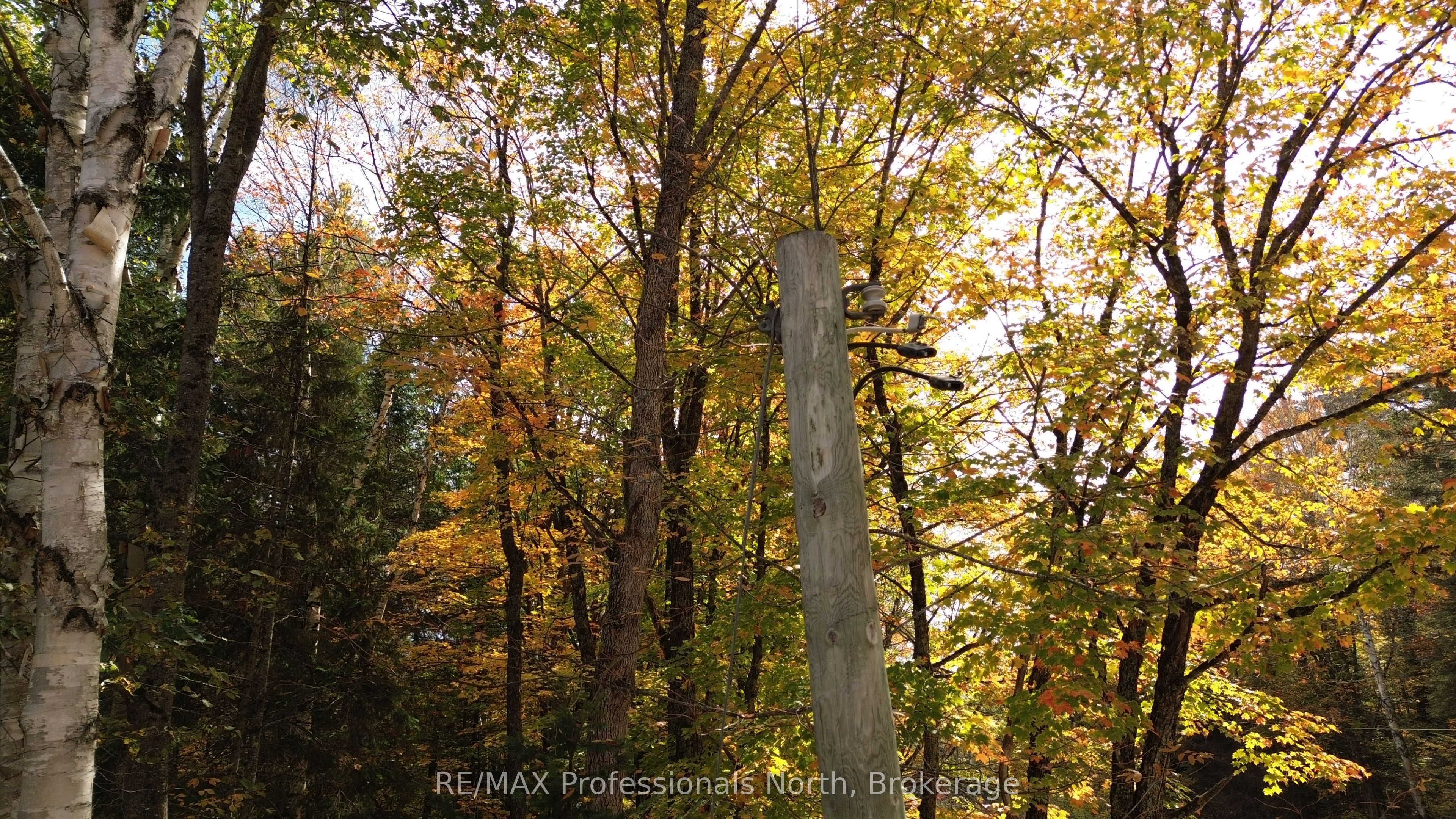 3907 Stisted Road Property Photo 15