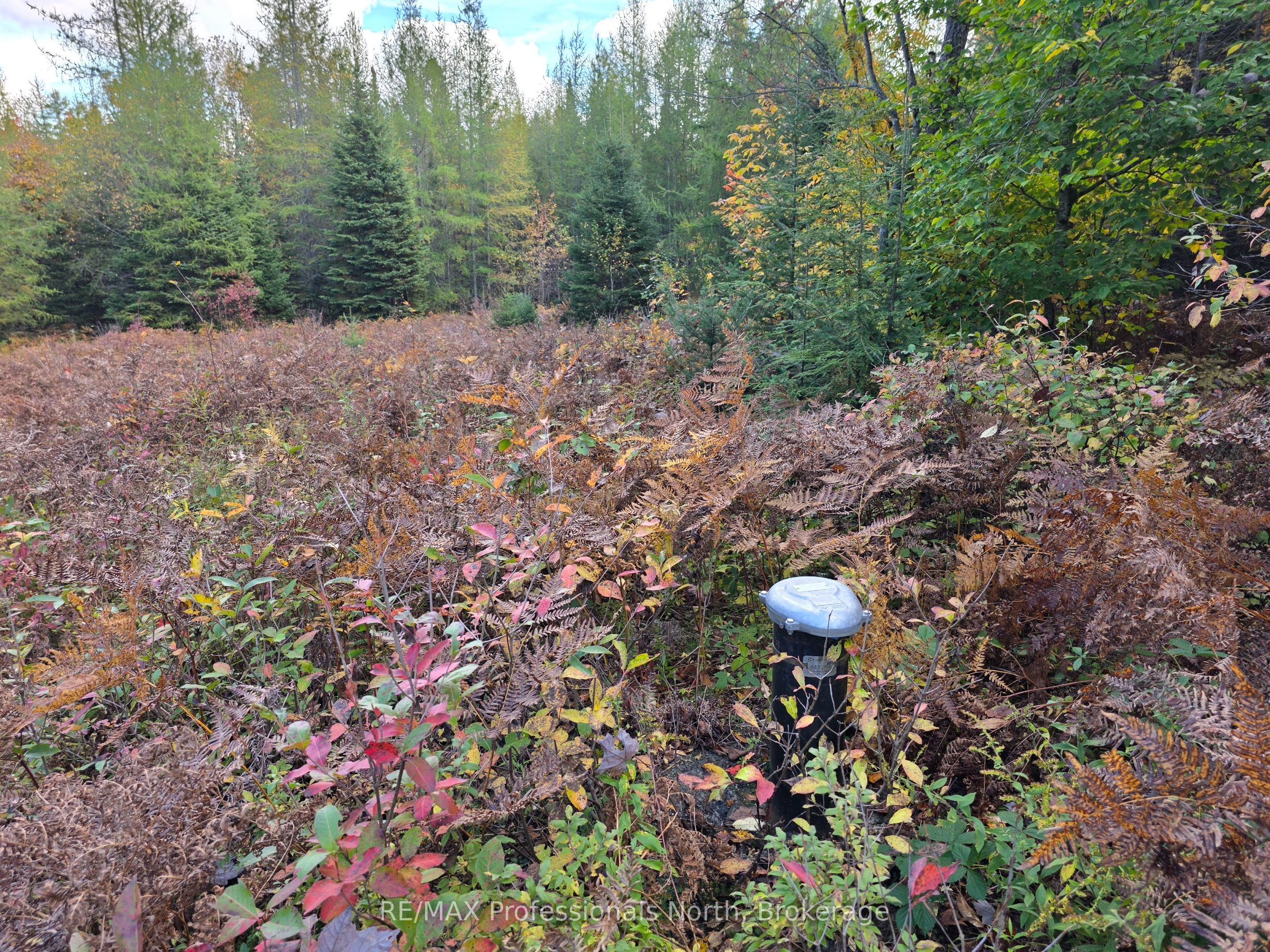 3907 Stisted Road Property Photo 16