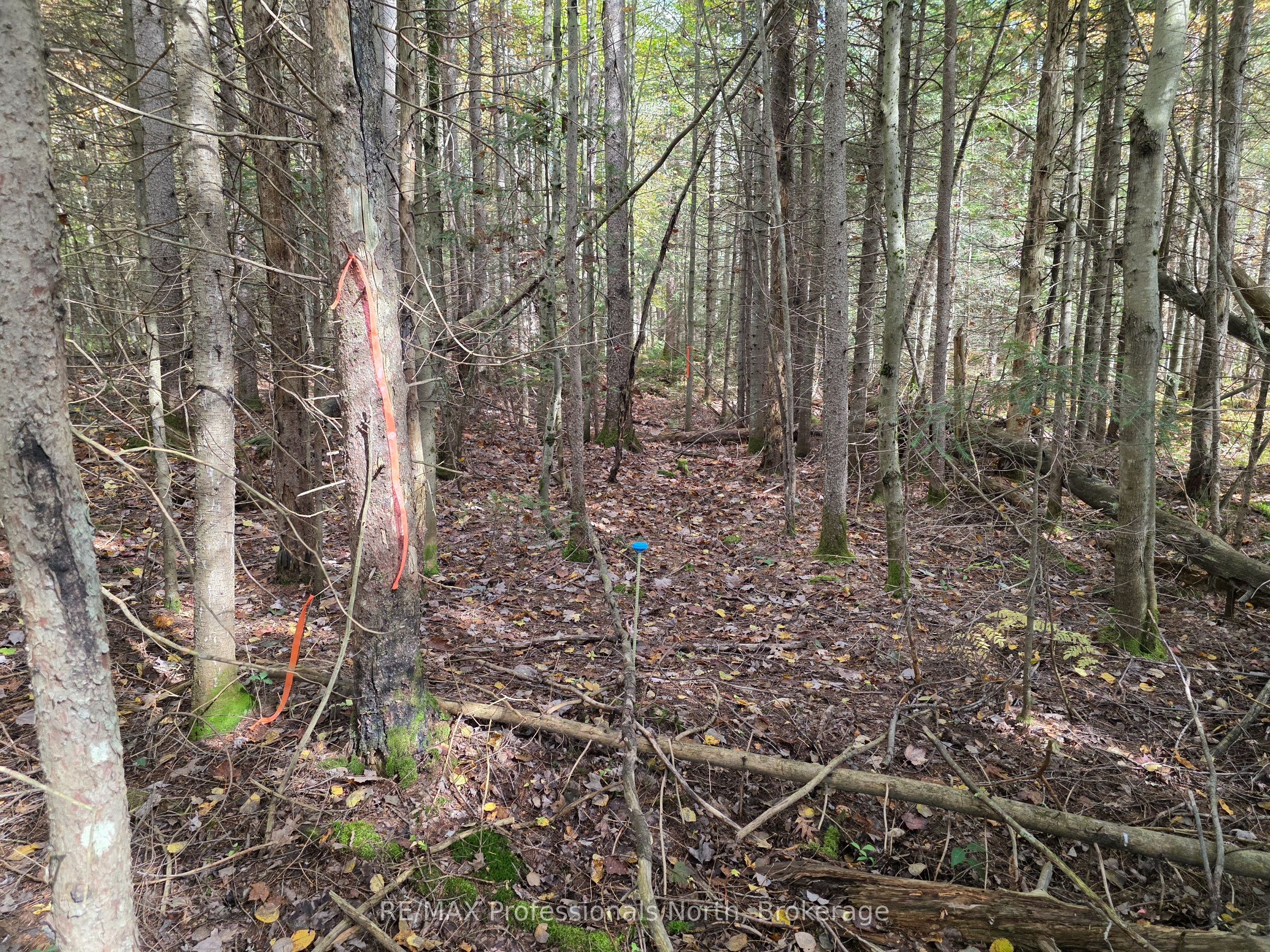 3907 Stisted Road Property Photo 21