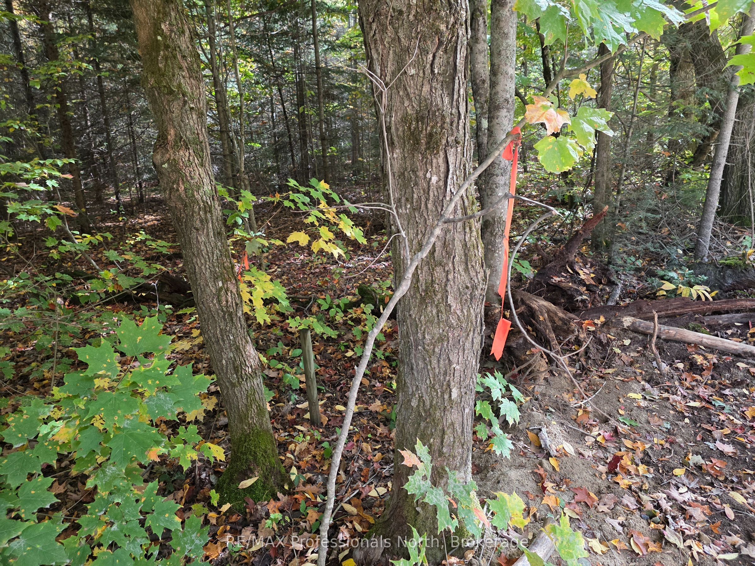 3907 Stisted Road Property Photo 23